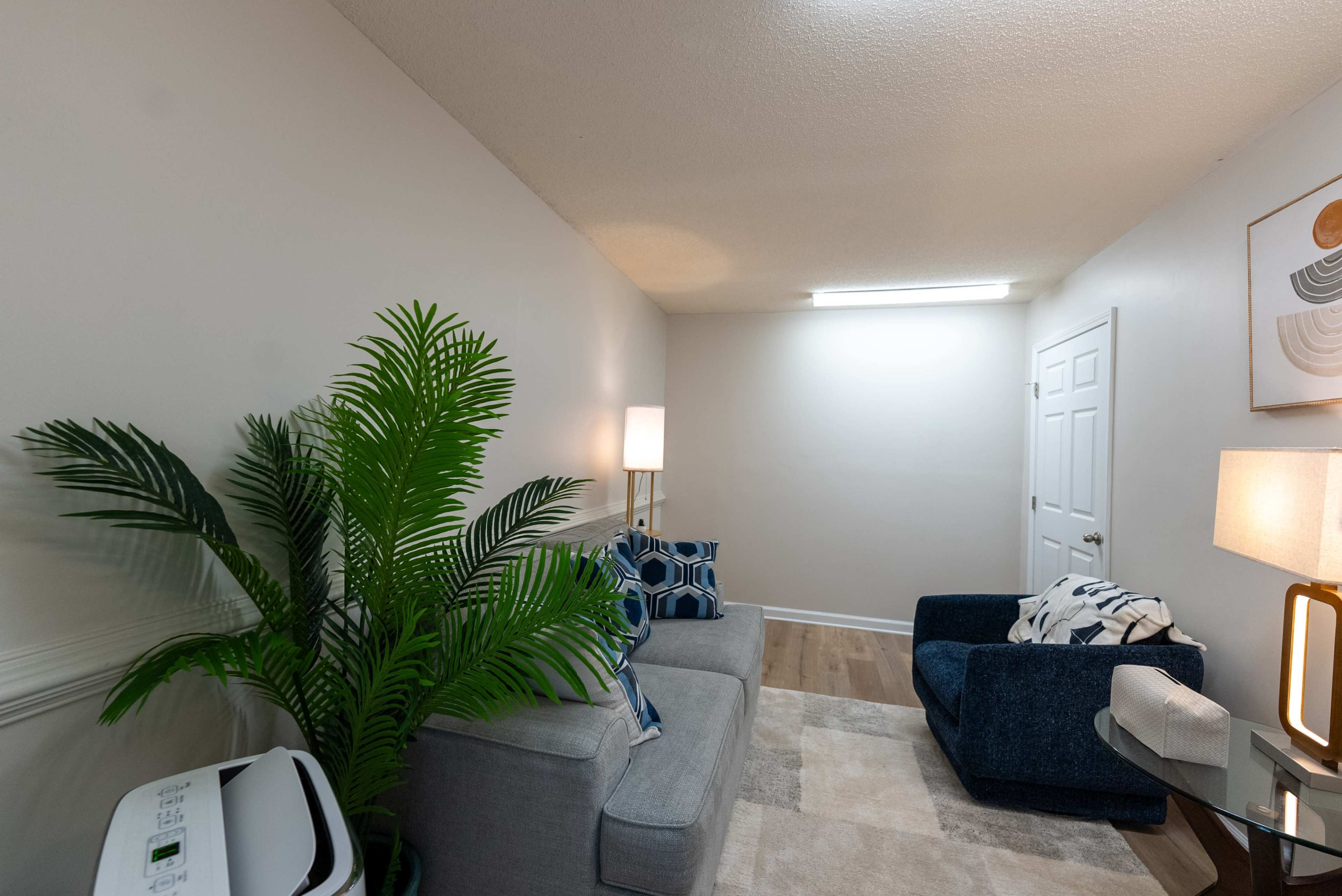 The image shows a small living room featuring a gray sofa with decorative pillows, a blue chair, a tall green plant, and two lamps illuminating the space.