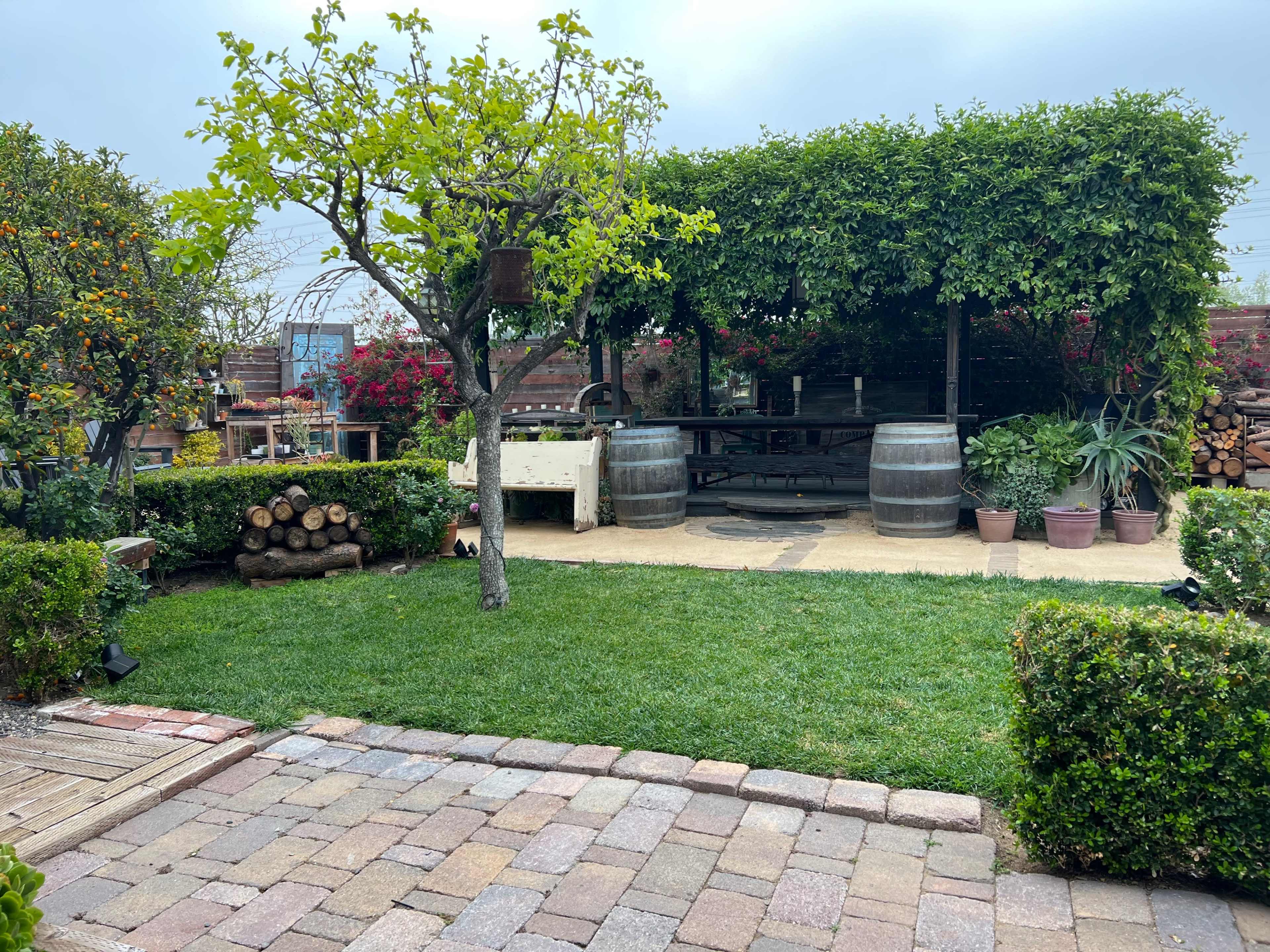 A serene garden space with neatly arranged pavers, lush greenery, a shaded area with wooden barrels and a table, and blooming plants around a tree.