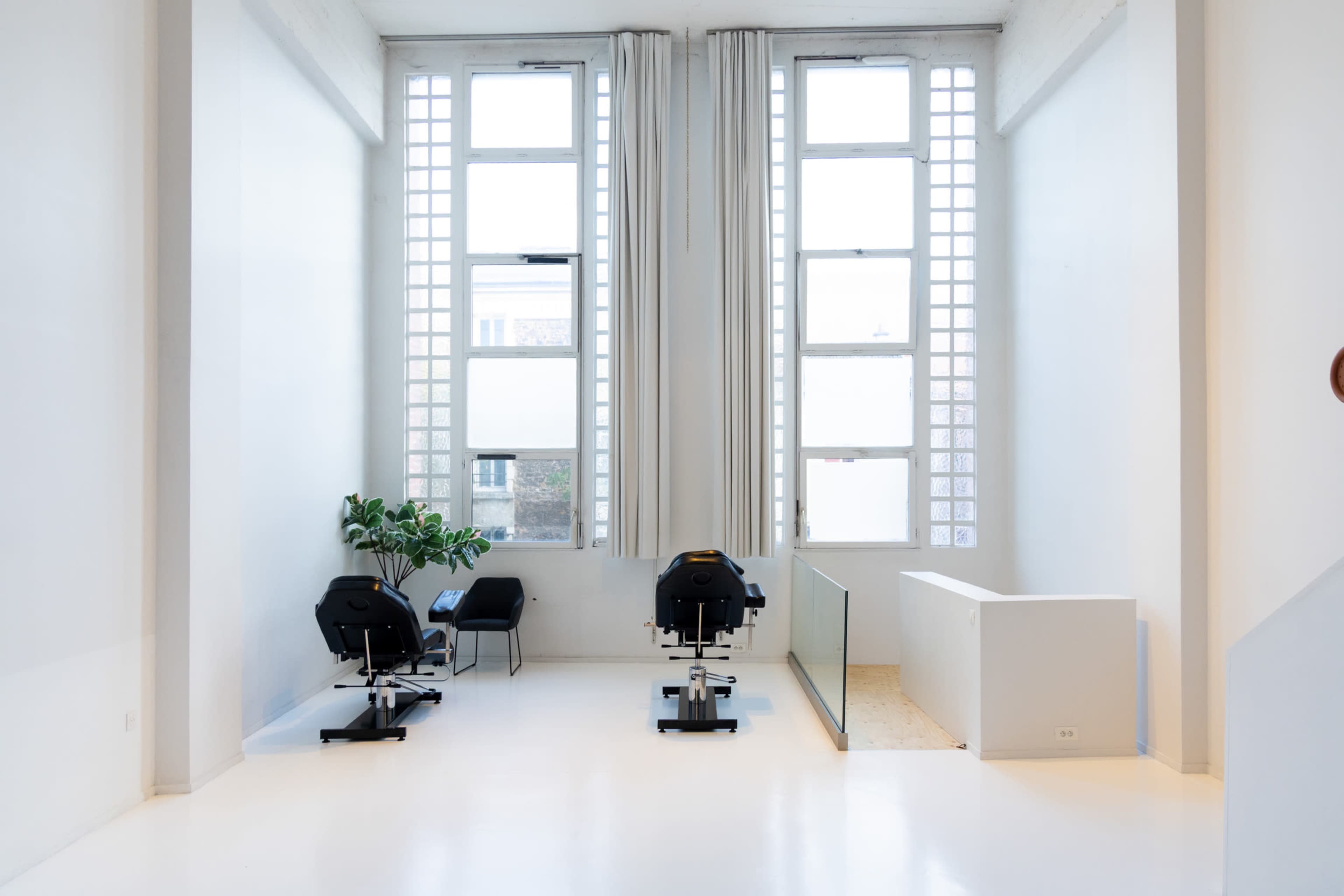 The image shows a modern, minimalistic room with two black chairs, large windows allowing natural light, and a green plant in a corner.