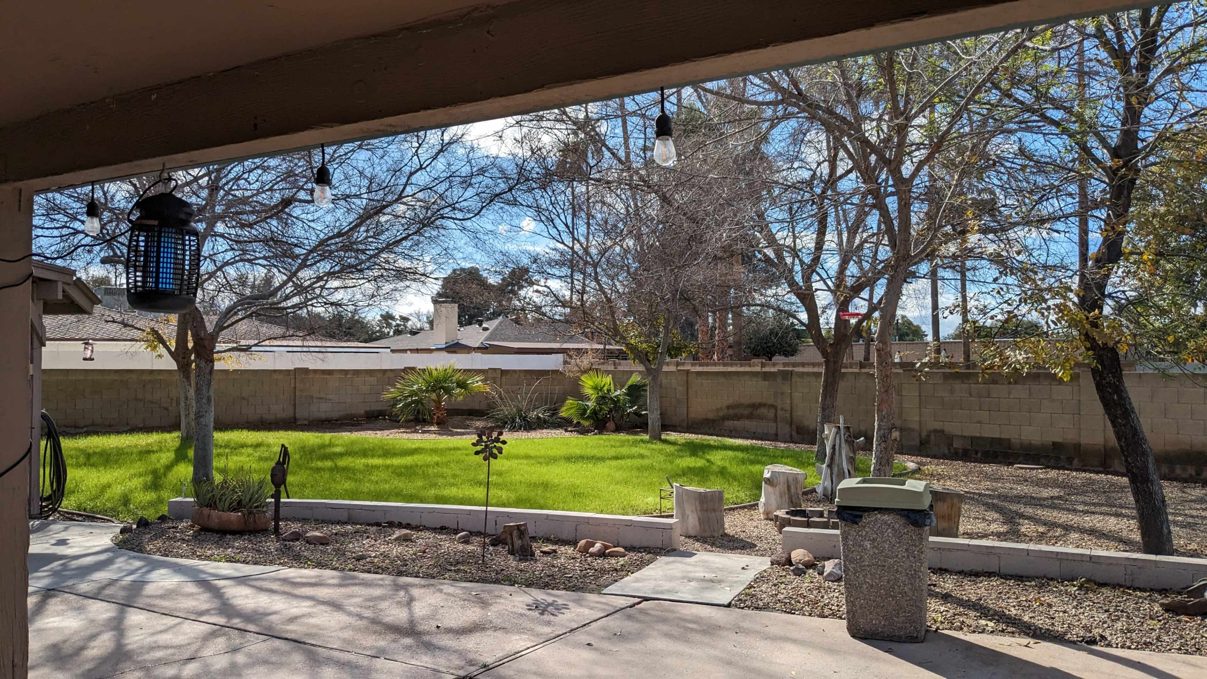 The image shows a backyard with a green lawn, scattered trees, and a stone pathway leading to a trash bin.