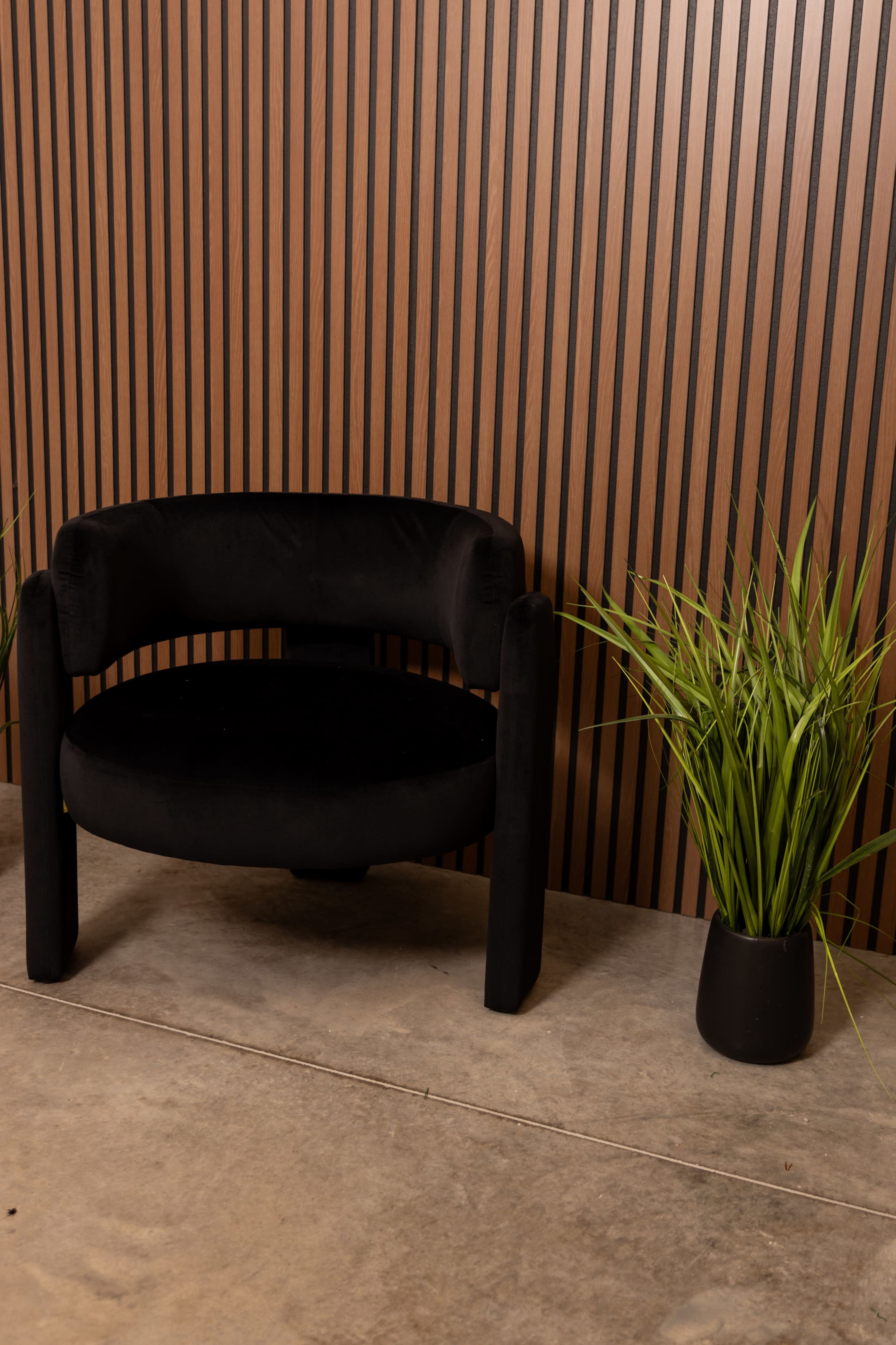 A round black upholstered chair is placed against a striped wooden wall, alongside a potted plant.