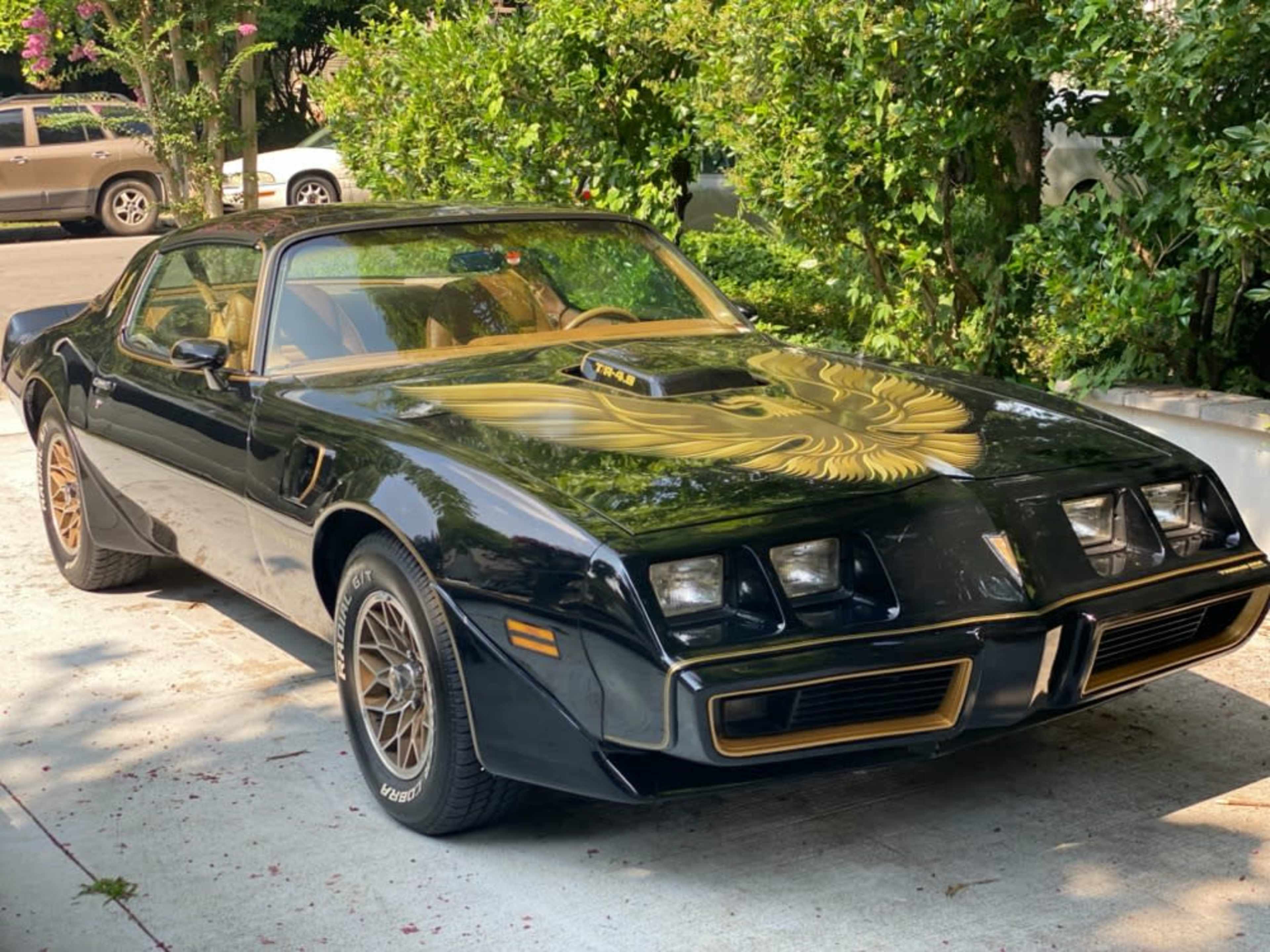 "The Bandit" 1980's Pontiac Firebird 