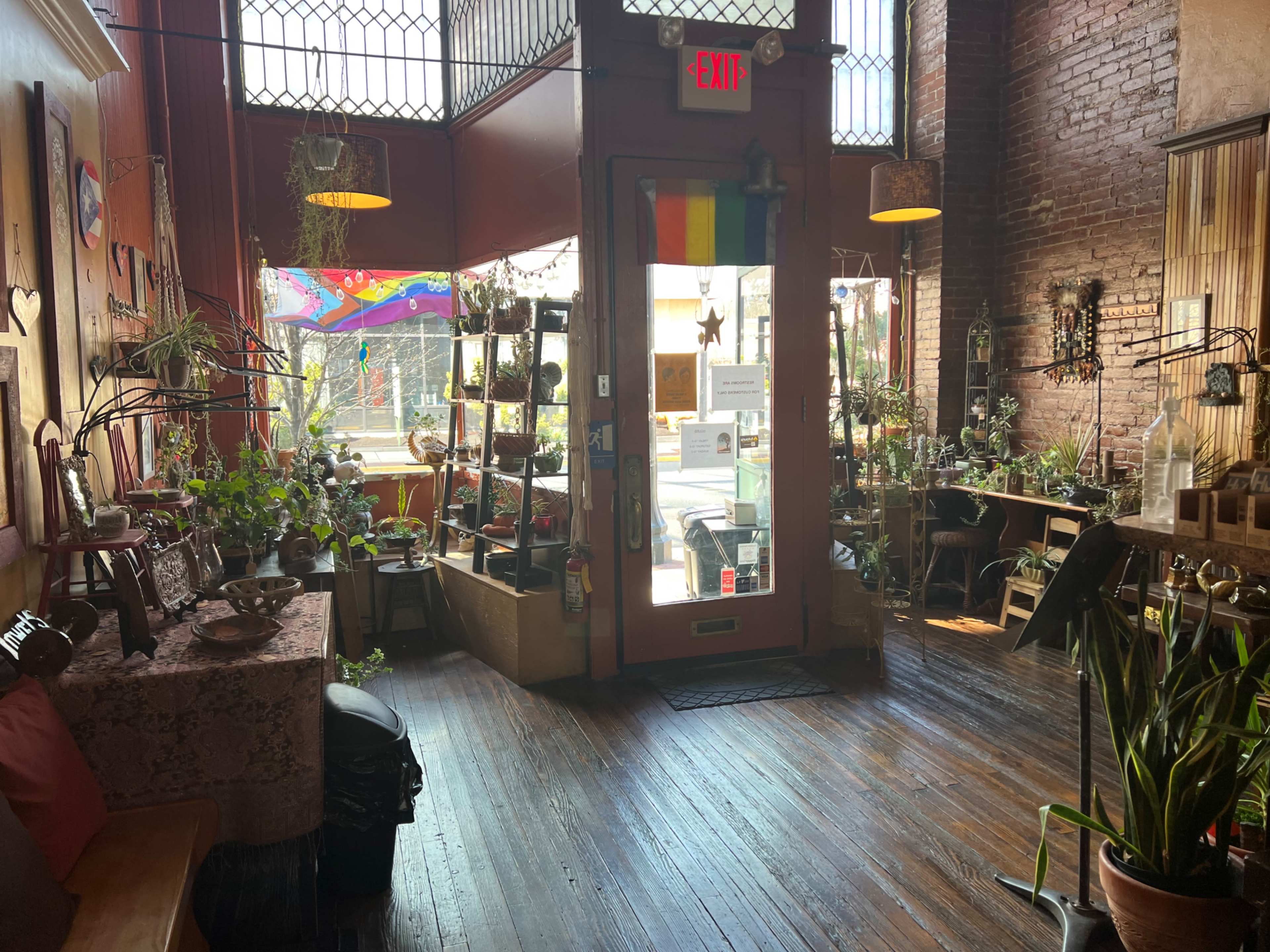 A cozy shop with wooden flooring, plants arranged on shelves, and a colorful front door adorned with a rainbow flag.