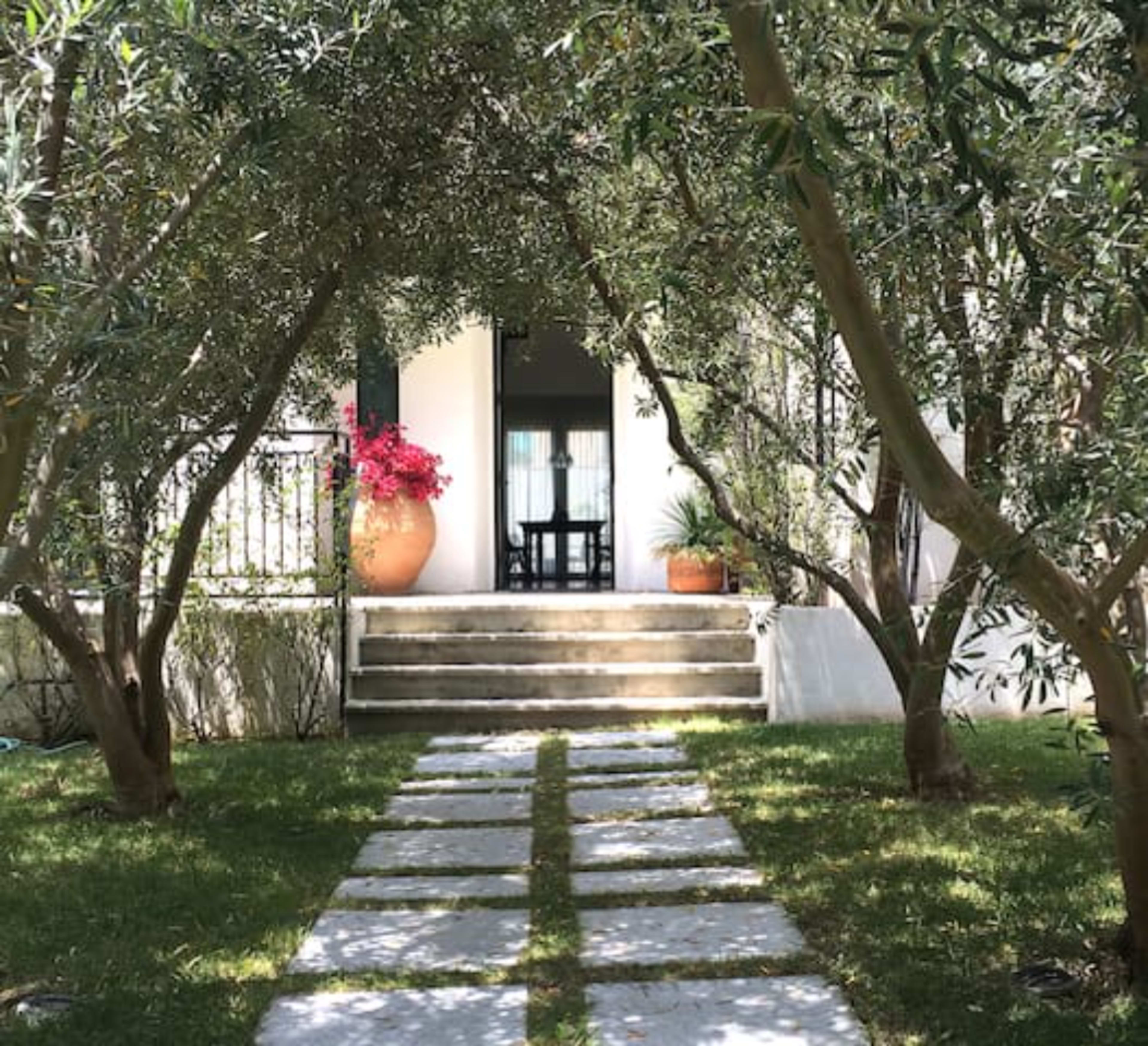 The image shows a pathway of stone slabs leading to an entrance flanked by olive trees and potted plants.