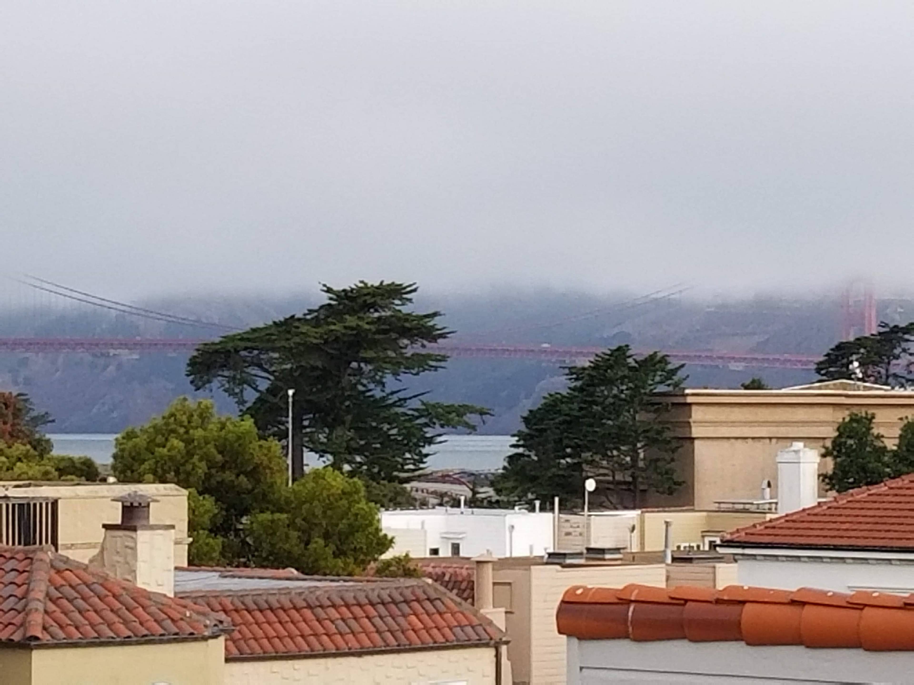 A view of the Golden Gate Bridge partially obscured by fog, with trees and rooftops in the foreground.