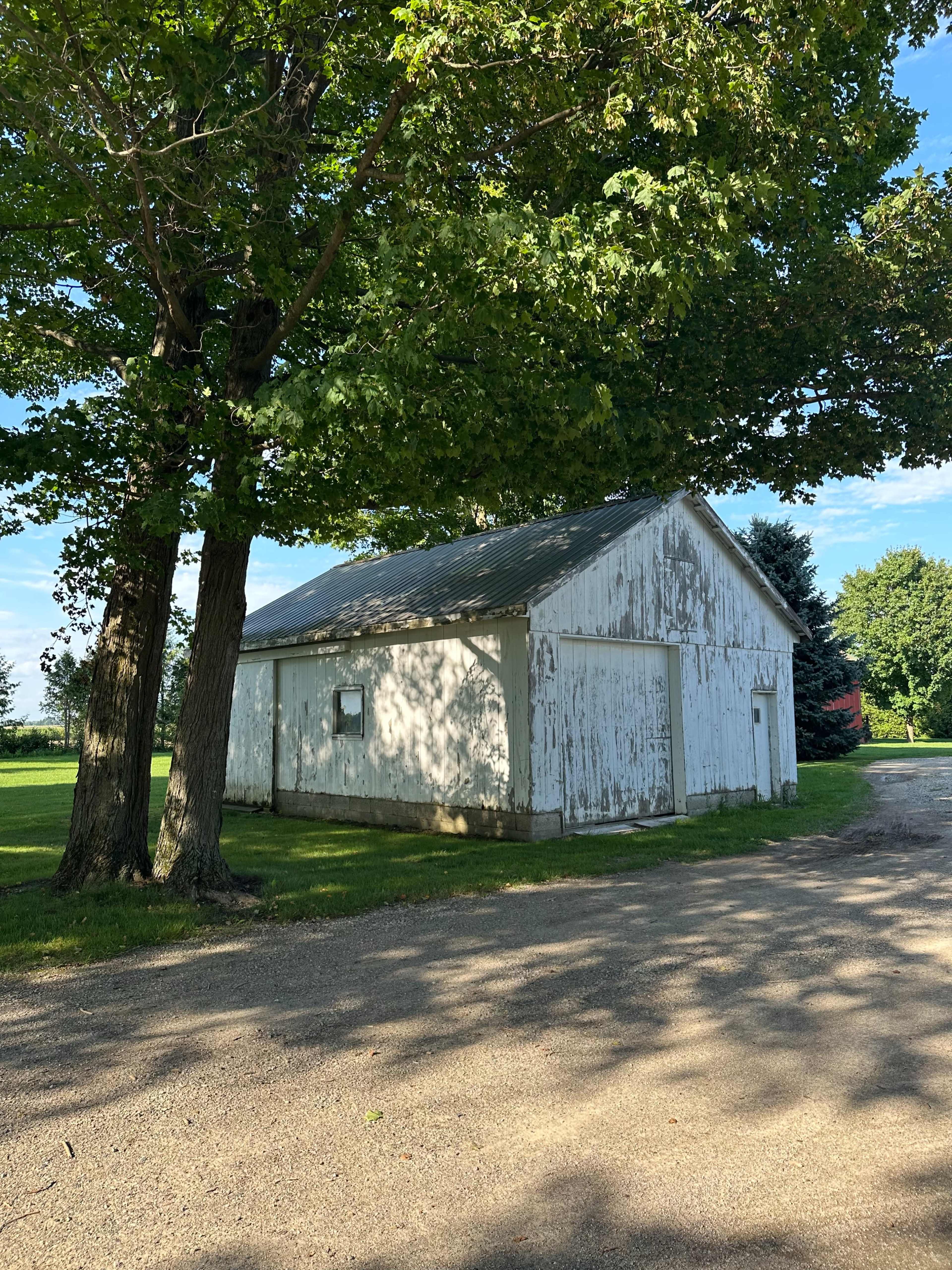 A weathered white barn is situated beside a gravel driveway, partially shaded by tall trees.