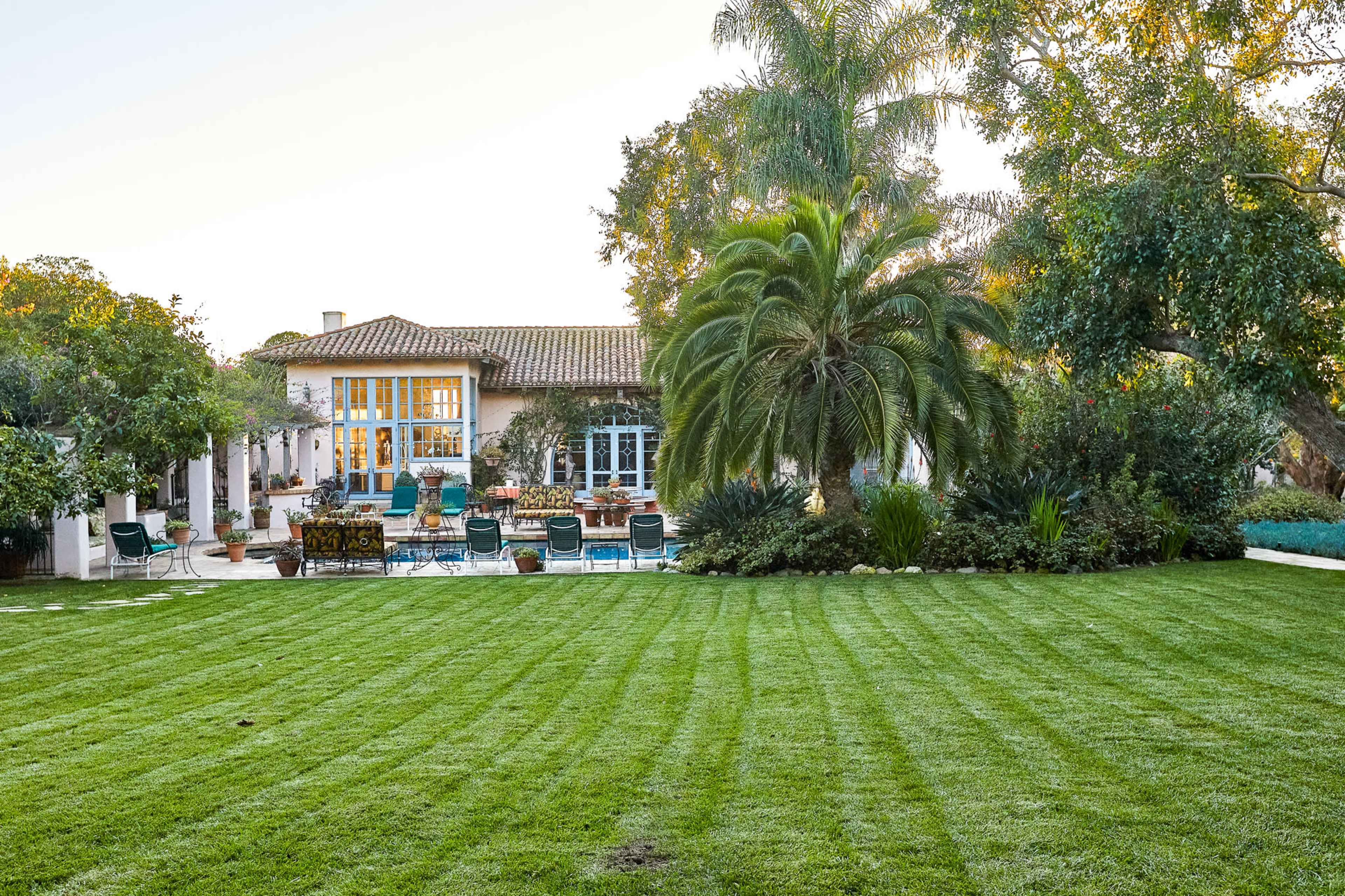 A well-maintained lawn in front of a house with large windows and a swimming pool, surrounded by palm trees and various plants.