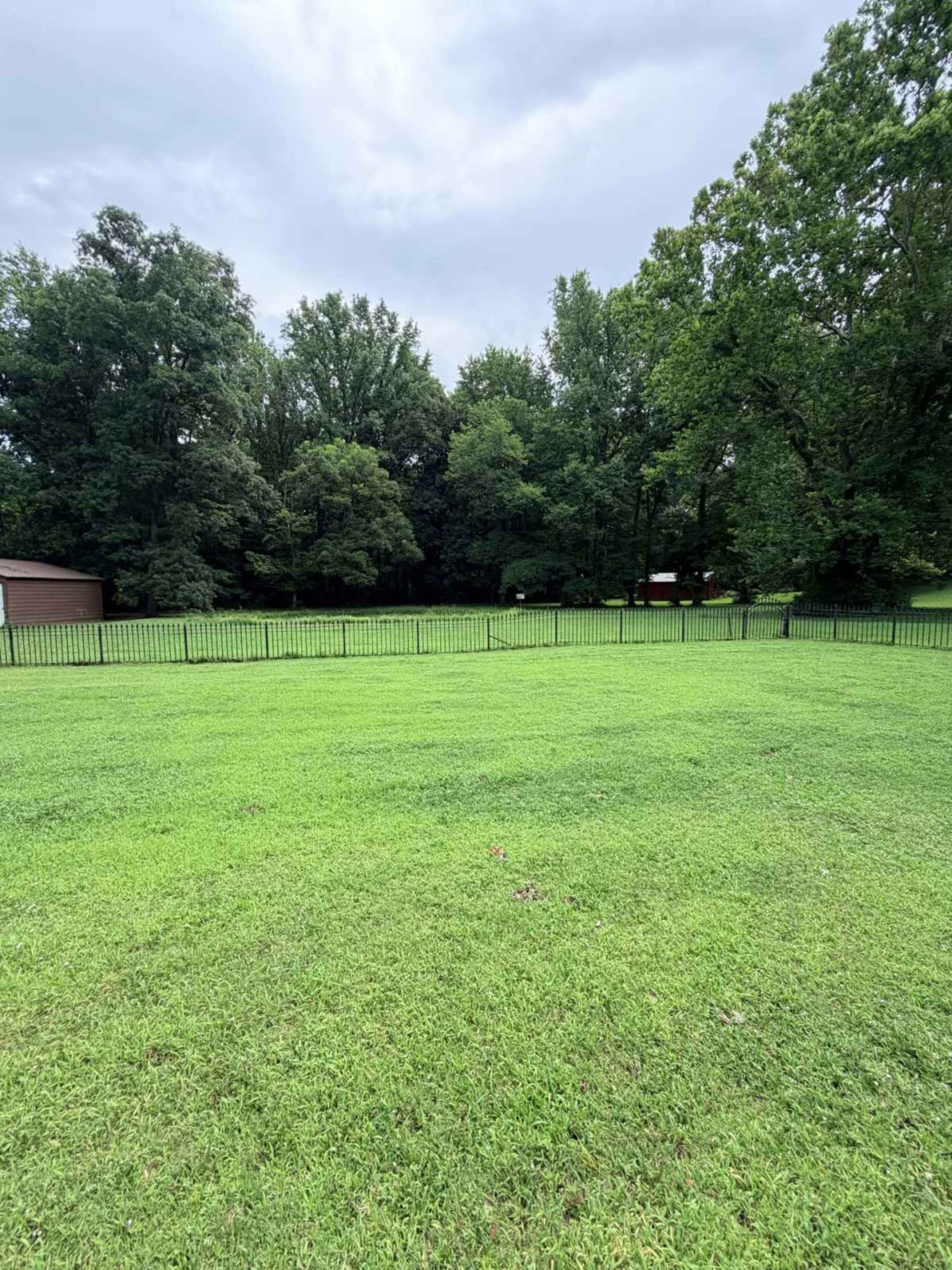 The image shows a grassy field bordered by a black metal fence, with trees in the background under a cloudy sky.