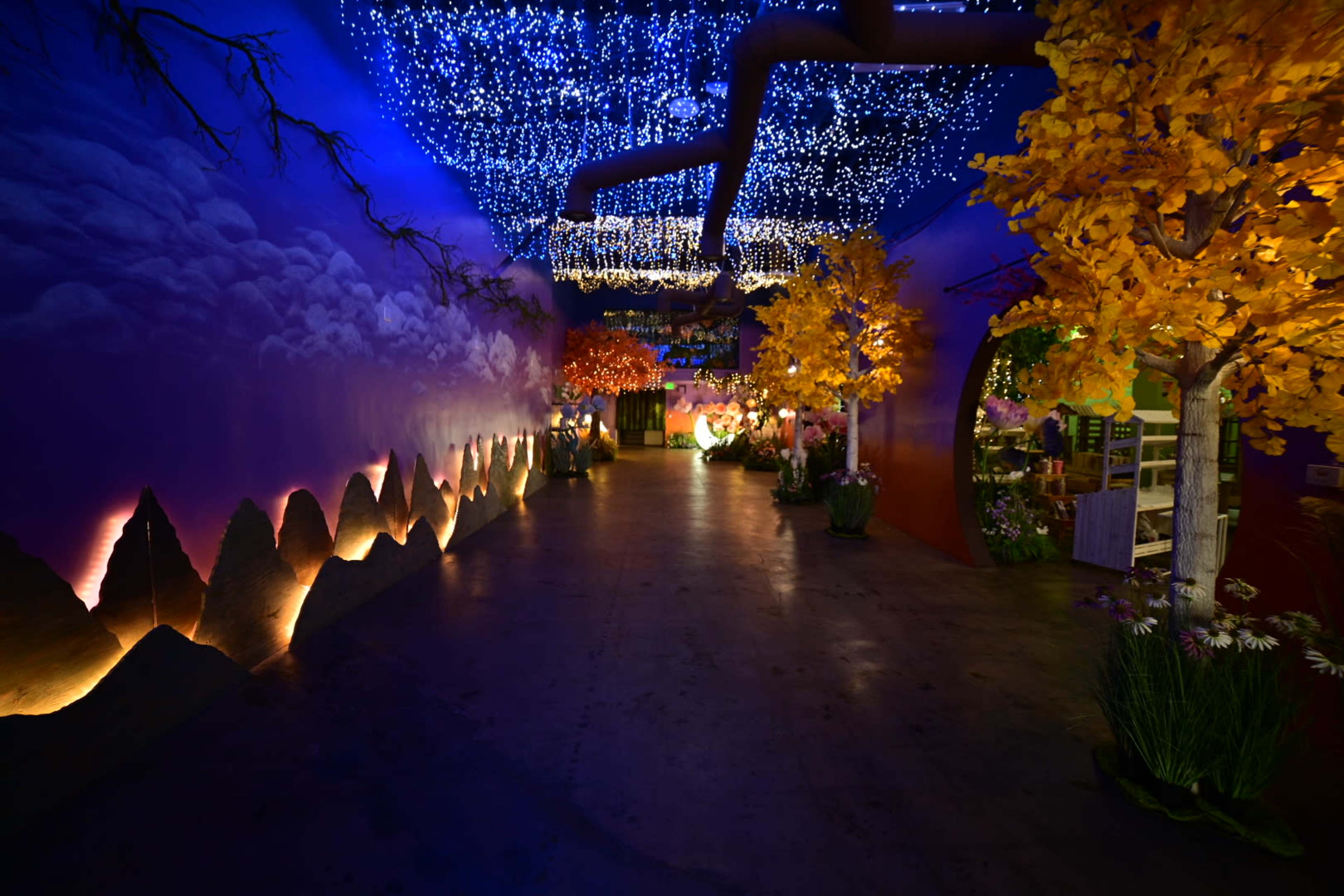 Starry Night Garden Image in Alhambra, Alhambra, CA