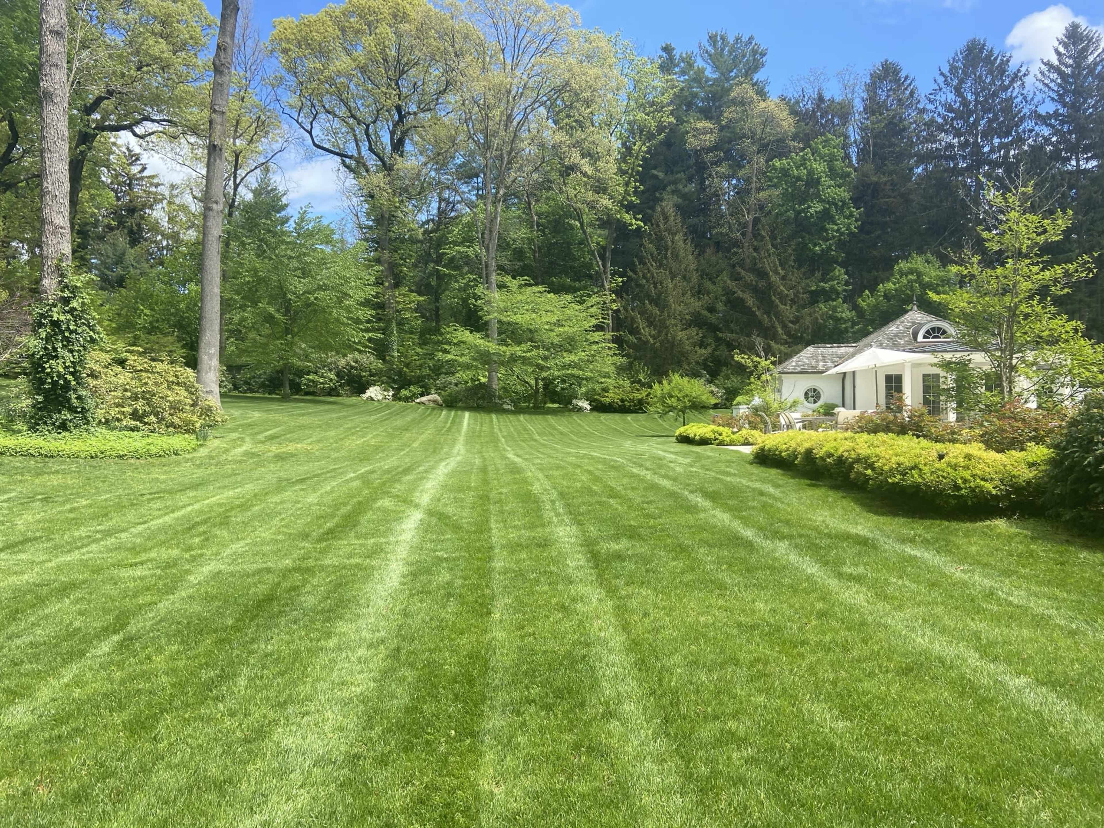 A well-maintained lawn with distinct grass stripes leads to a small white building surrounded by trees and lush greenery.