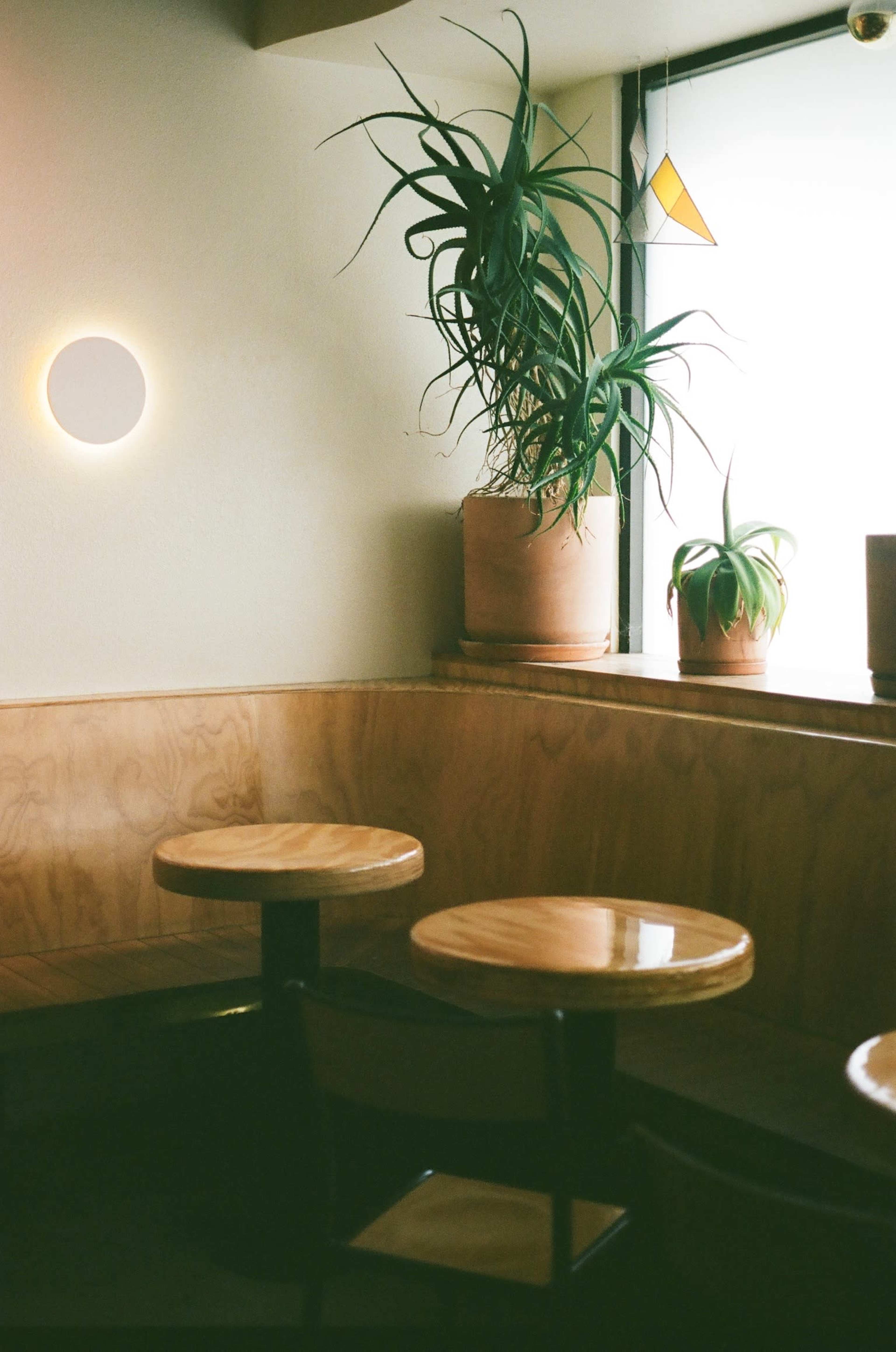 The image shows a cozy café setting with round wooden tables, a potted plant above a window, and soft lighting.