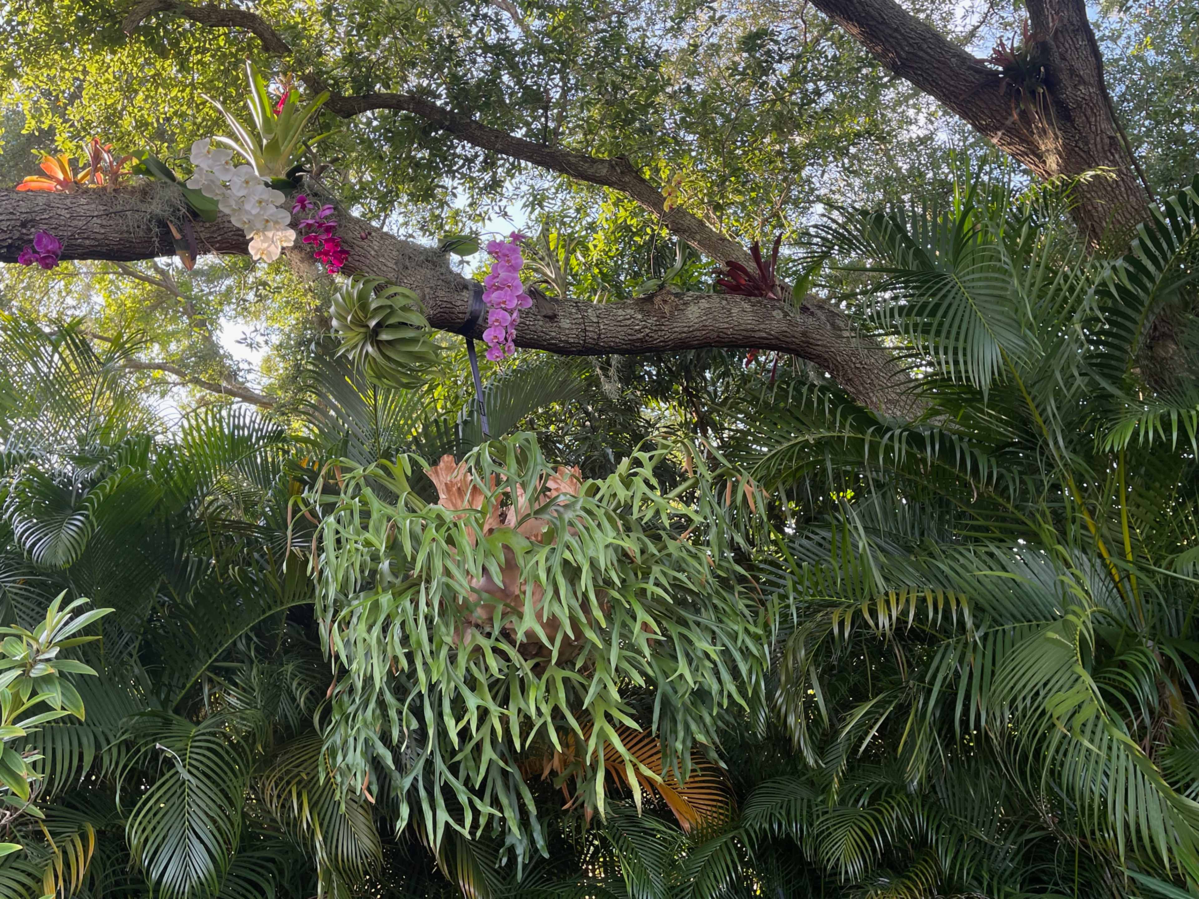 Tropical Butterfly Garden and Pool Image in Palm Bay, Palm Bay, FL