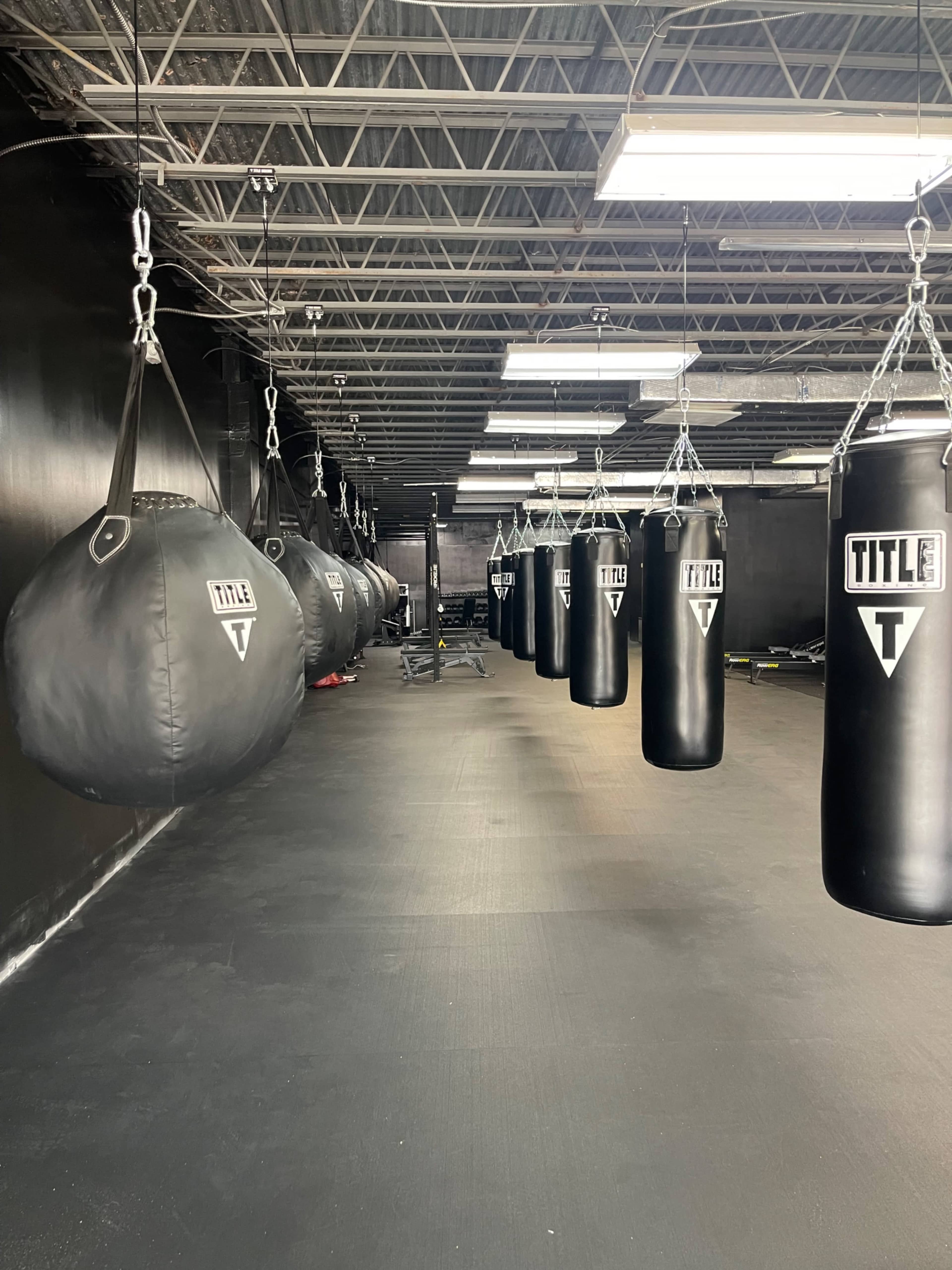 North Georgia Premium Fitness and Boxing Gym Image in Gainesville, Gainesville, GA