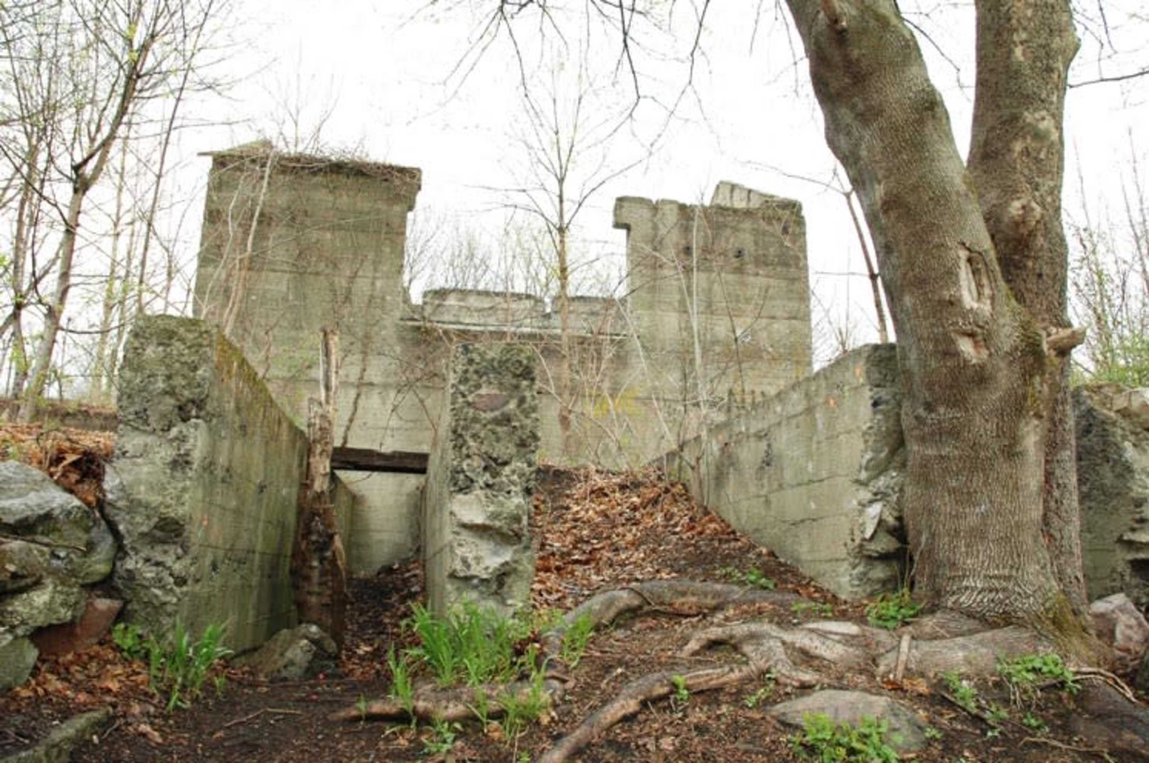 The image depicts the remnants of a stone and concrete structure overgrown with vegetation and trees in a wooded area.