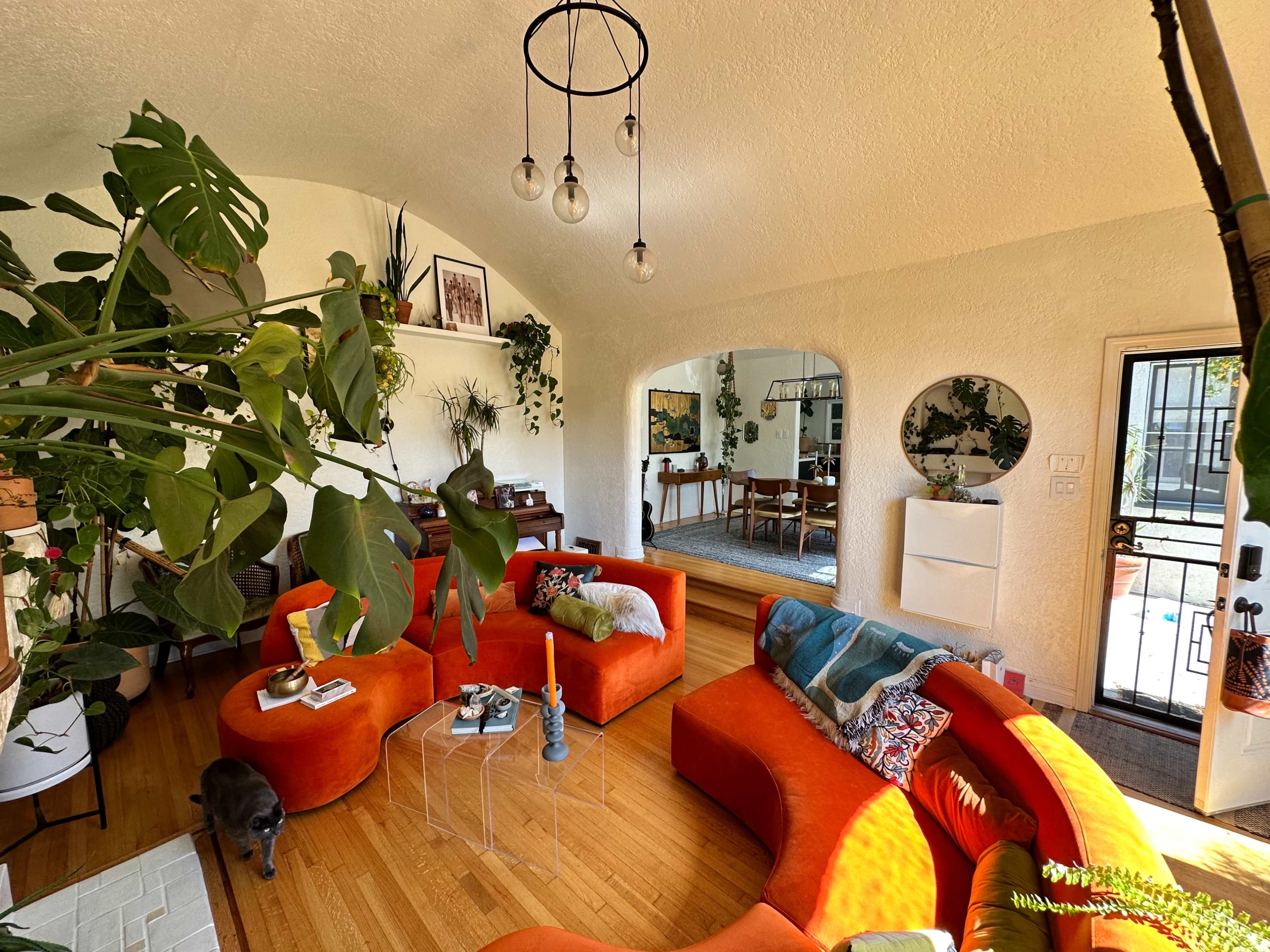 The image depicts a bright living room featuring orange sectional sofas, a rounded coffee table, and various plants arranged throughout the space.