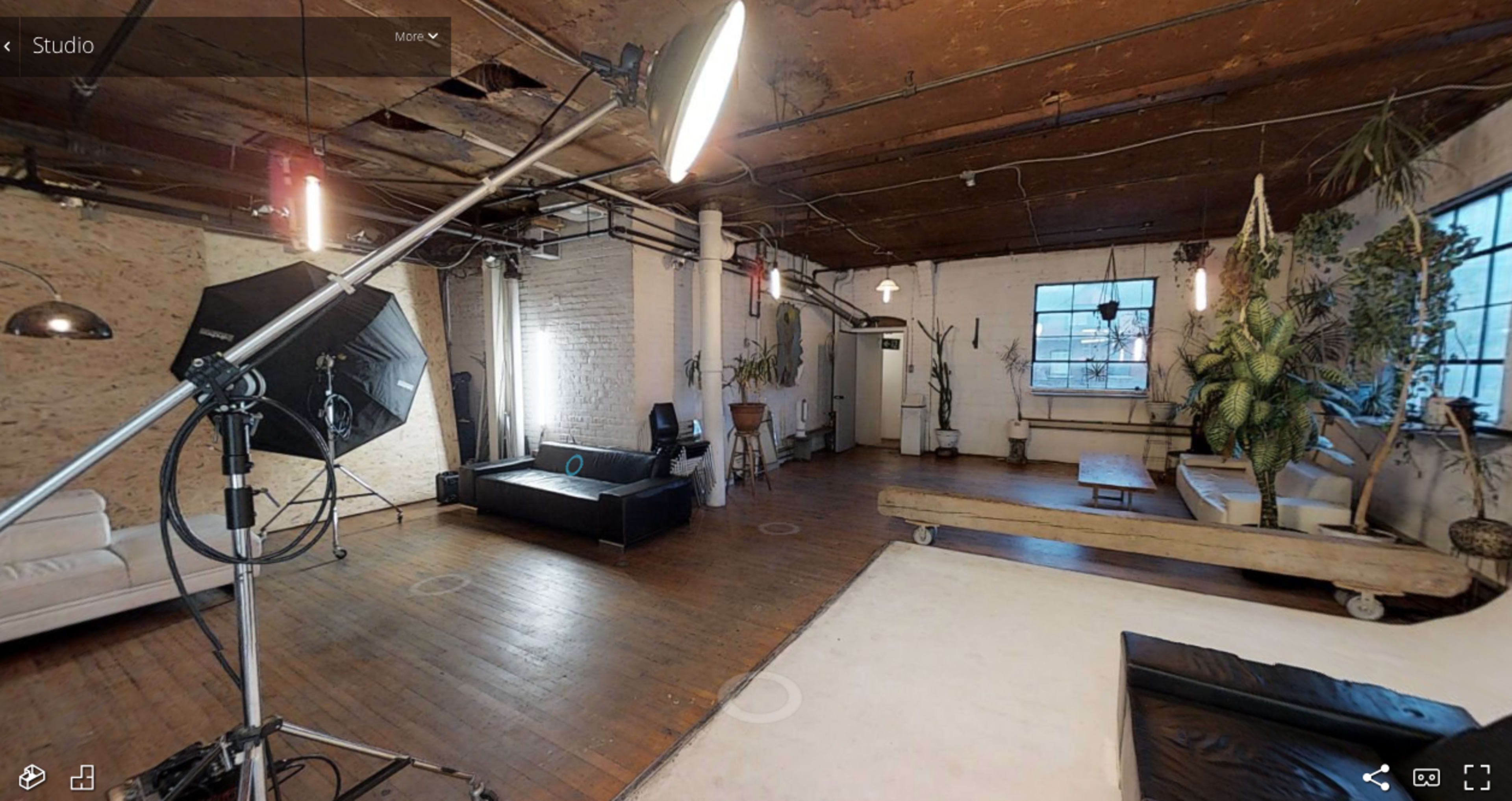 The image shows a spacious studio interior with wooden floors, large windows, and various plants, featuring a black sofa, a photography lighting setup, and a white backdrop area.