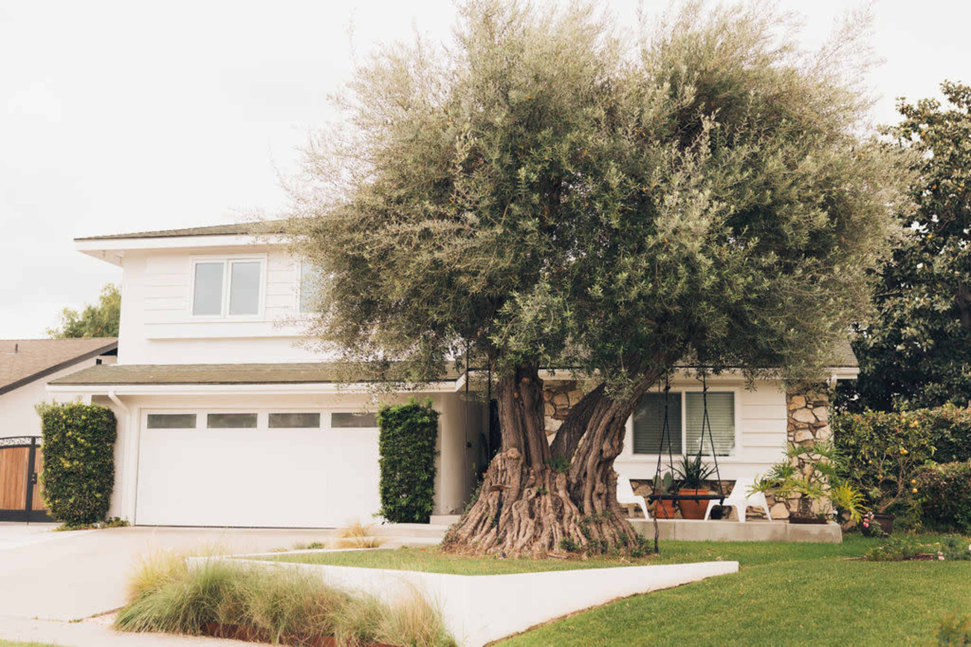 The image shows a two-story white house with a large, gnarled tree in the front yard and a manicured lawn.