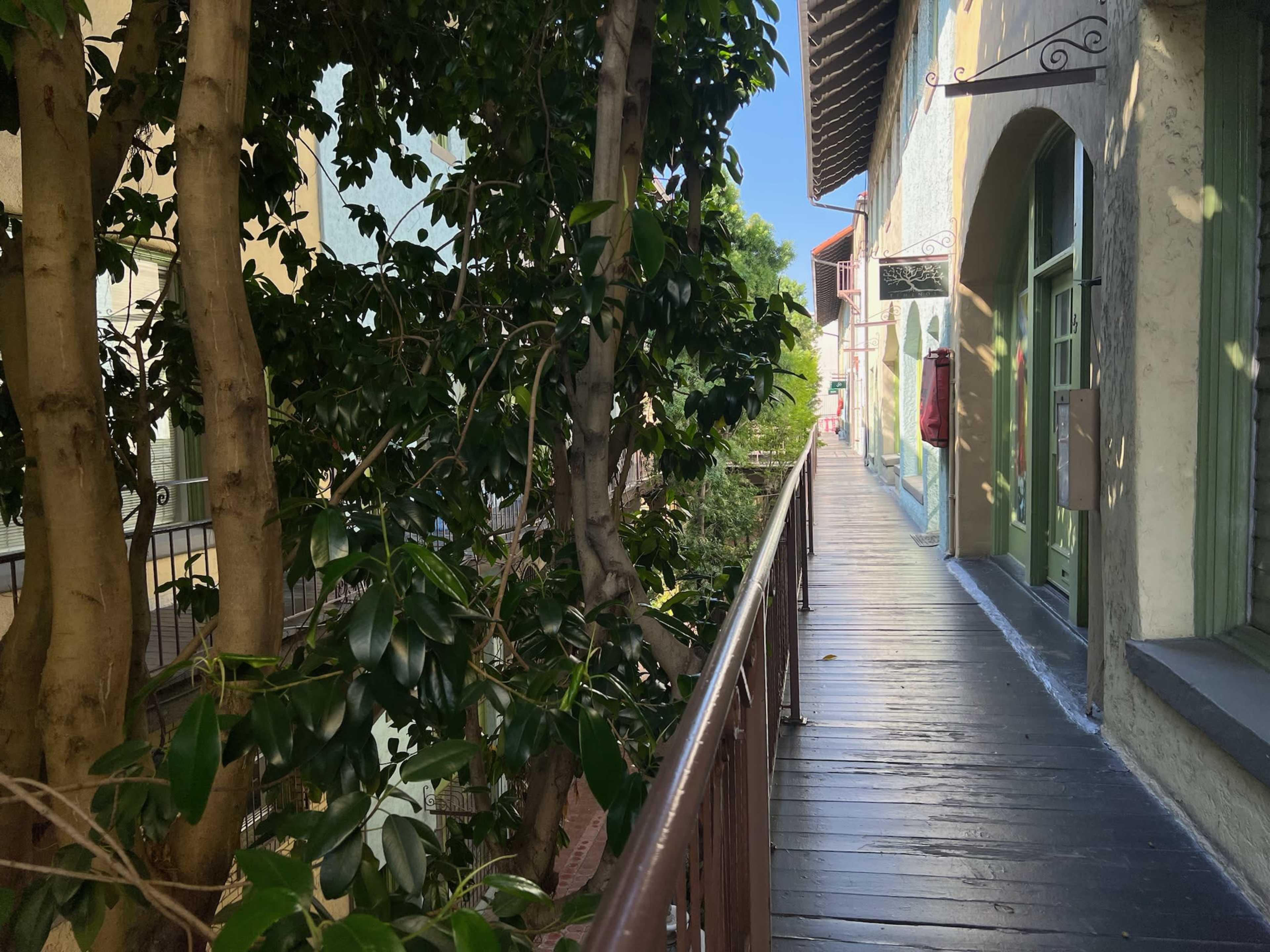 A wooden walkway lined by trees, leading to colorful buildings in a bright setting.