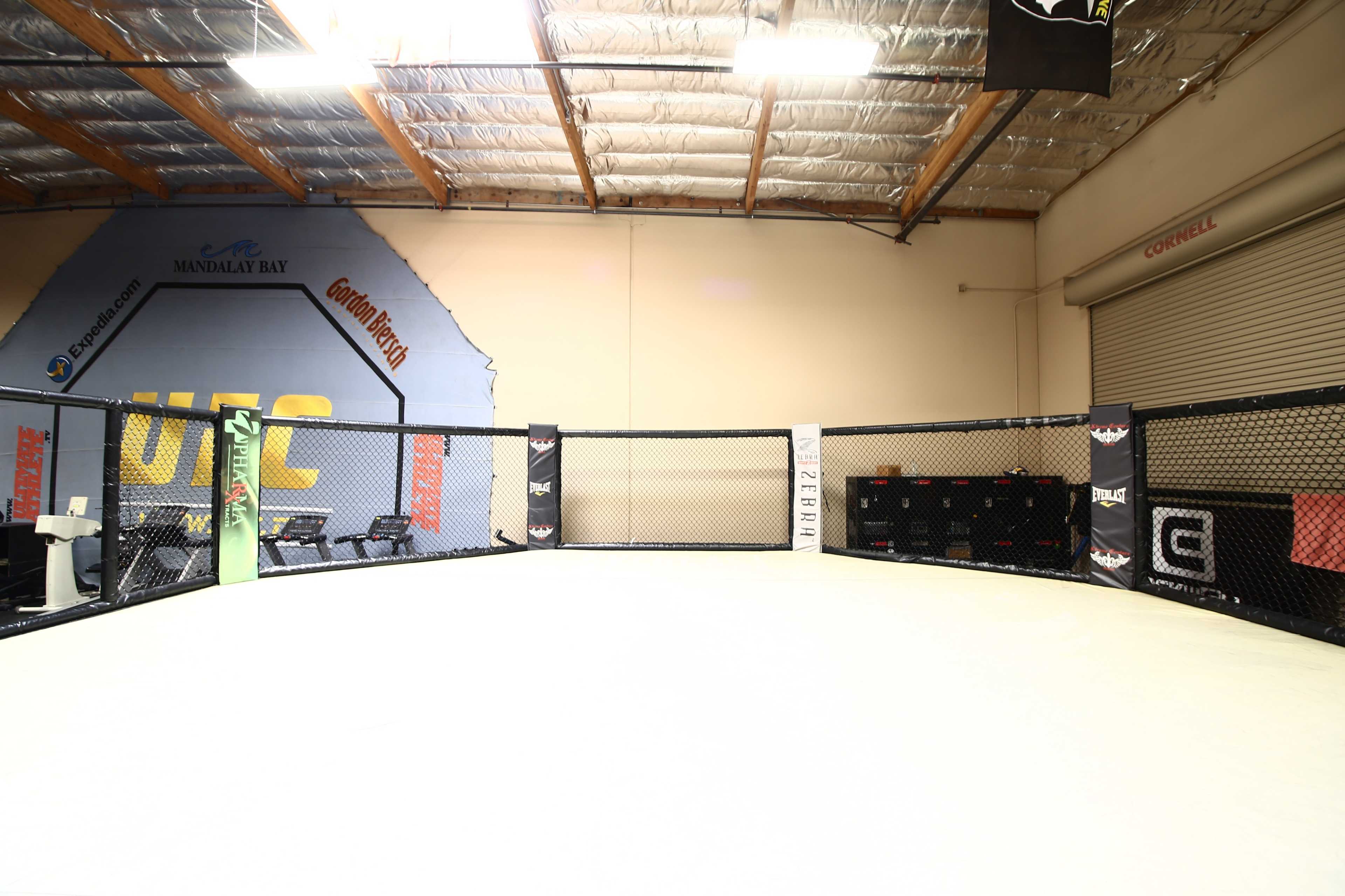 An empty UFC octagonal fighting cage within a gym, with a logo on the wall and equipment in the background.