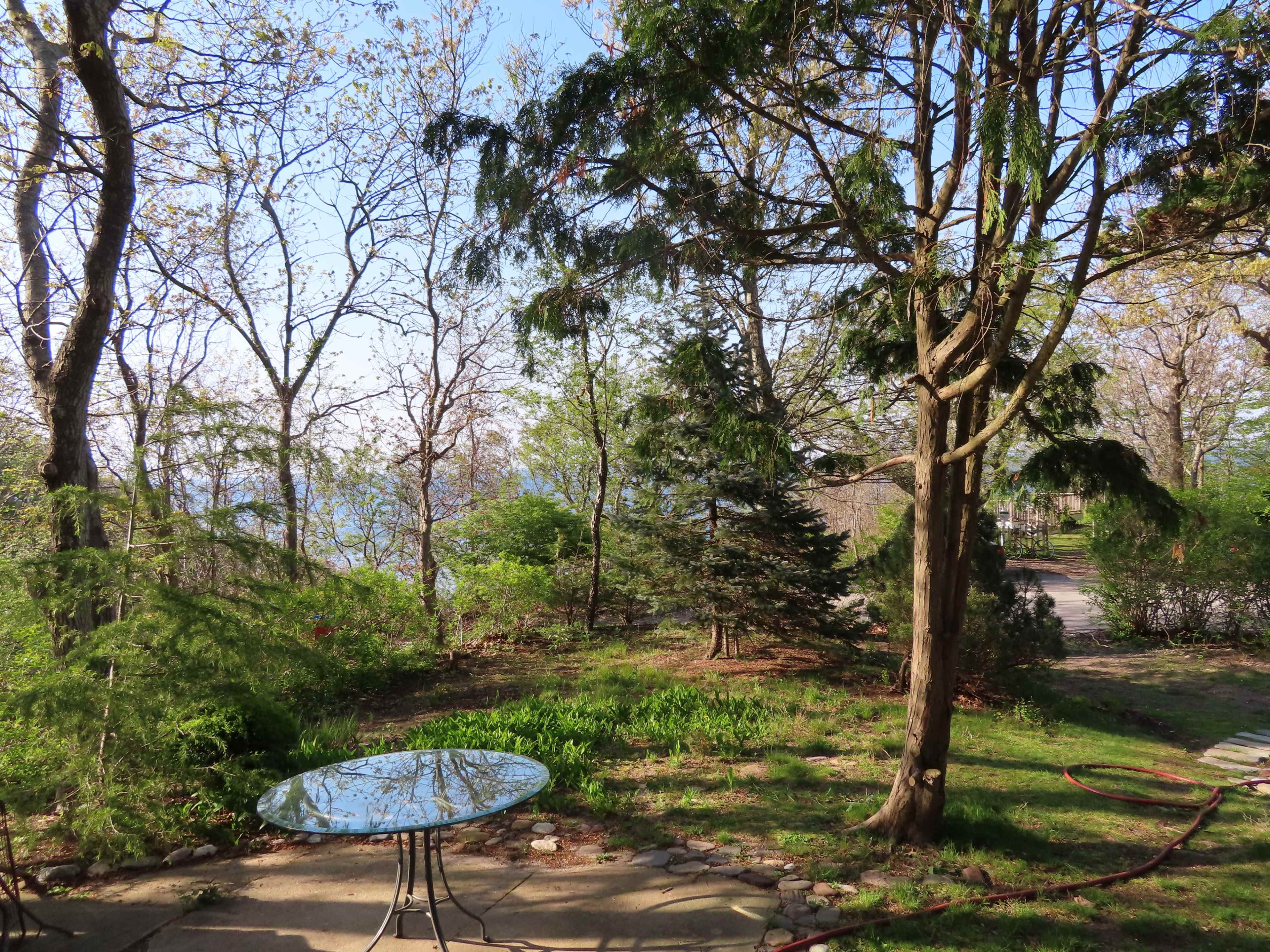A glass-top table sits on a stone patio surrounded by trees and greenery, with a view of the lake in the background.
