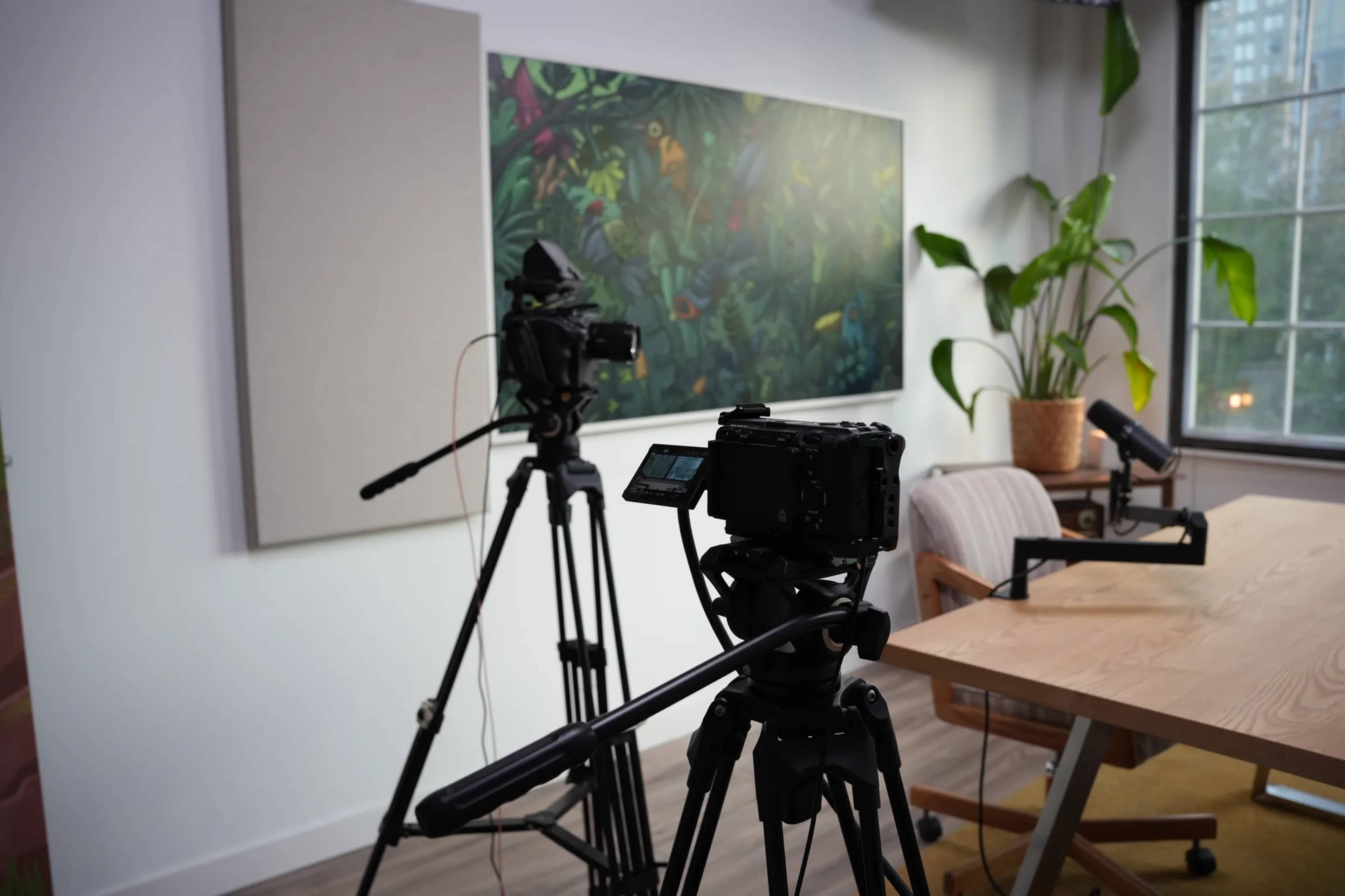 The scene shows a minimalist studio setup with two cameras on tripods facing a wooden table and a large plant beside a colorful wall mural.