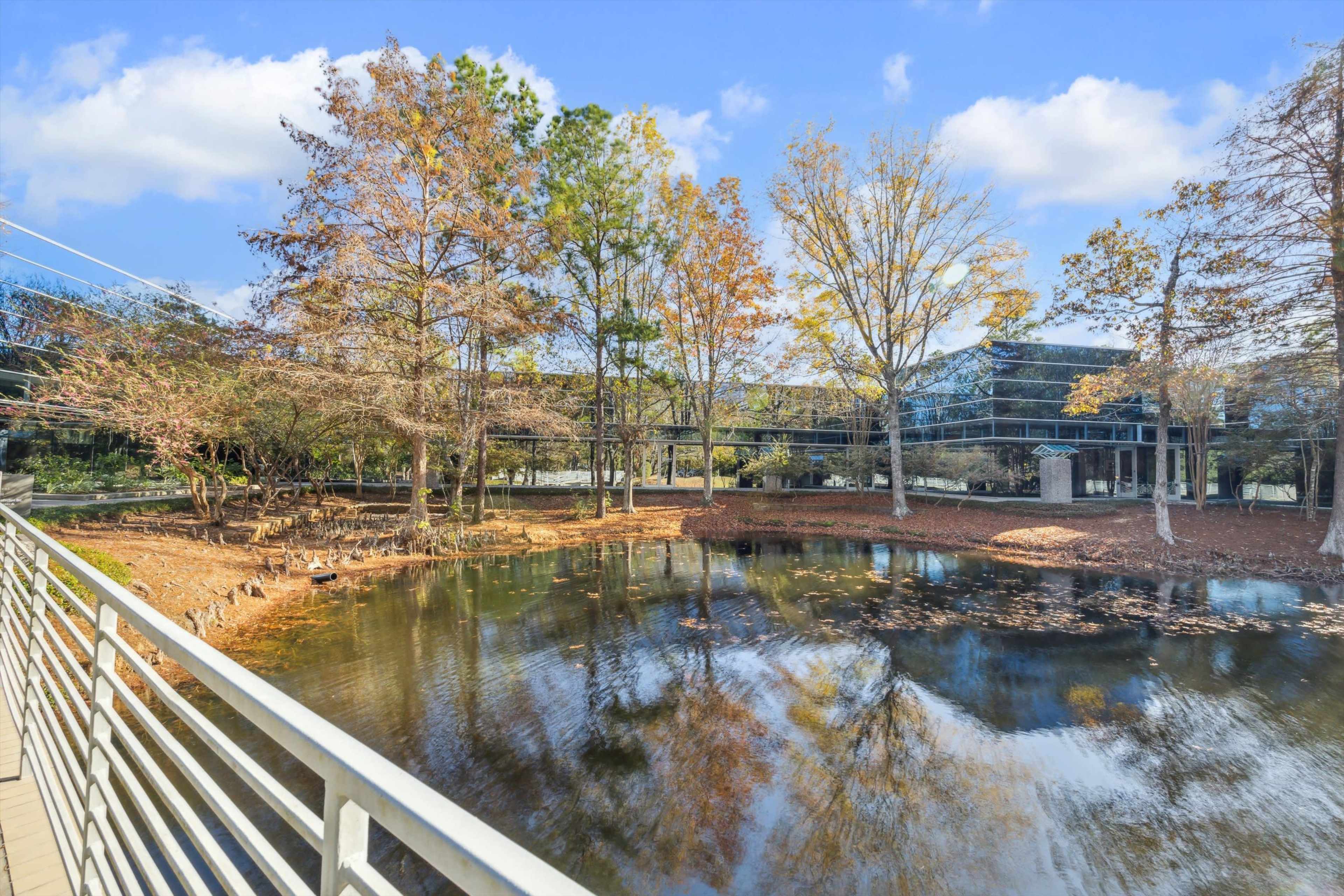 Verve Workspace – Your Co-Working Hub in The Woodlands Image in Research Forest, The Woodlands, TX