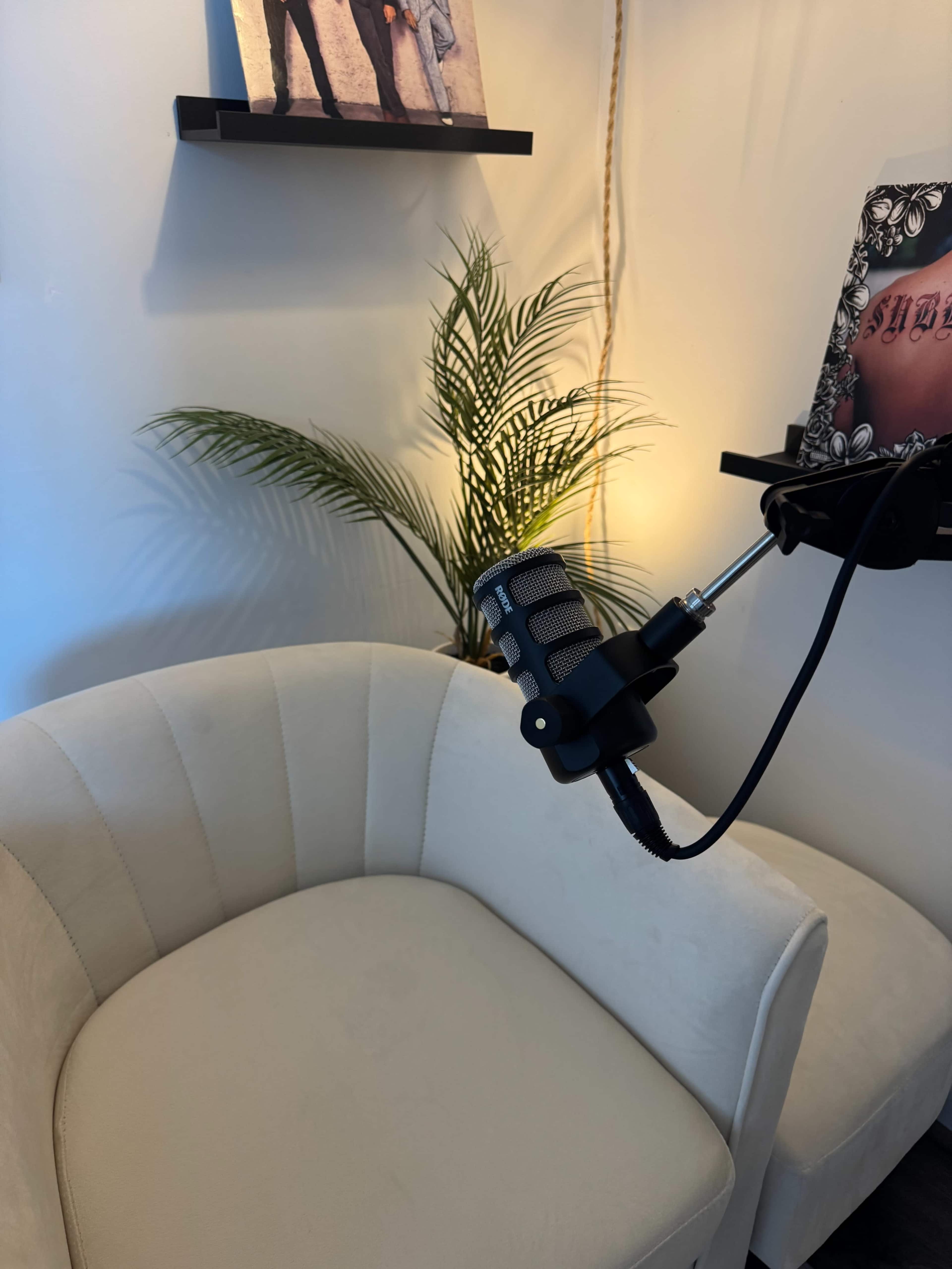 A white upholstered chair is positioned next to a small shelf featuring a plant and framed artwork, with a microphone mounted nearby.