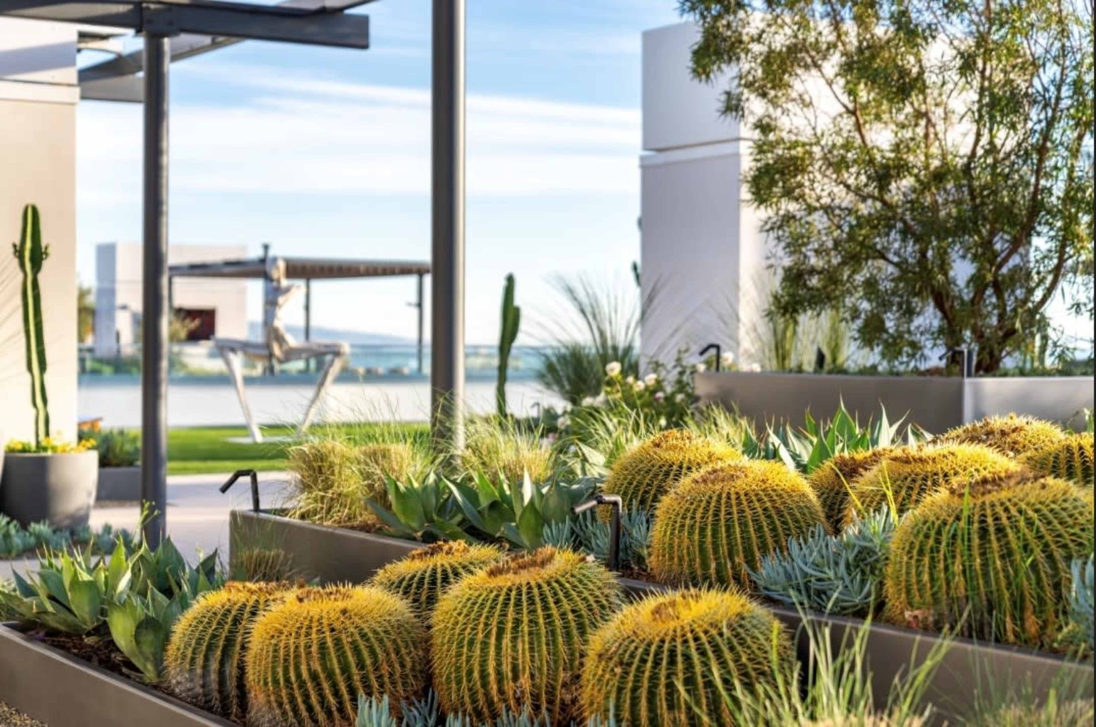 Rooftop Park with Ocean Views & Resort-style Amenities Image in Downtown, Santa Monica, CA