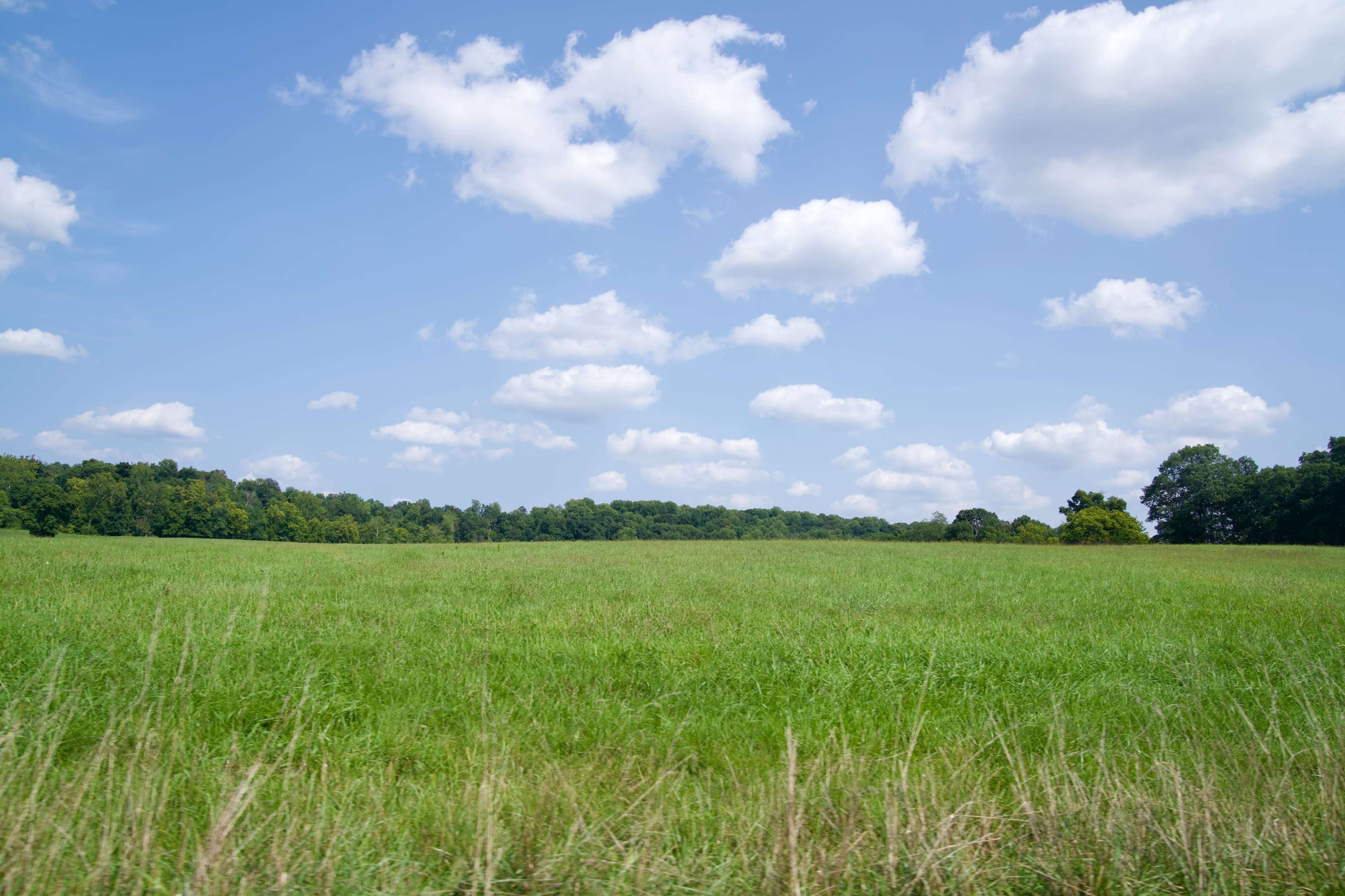 100 Acre Farm: Cows, Rolling Fields, Woods, and More Image in Londonderry Township, Middletown, PA