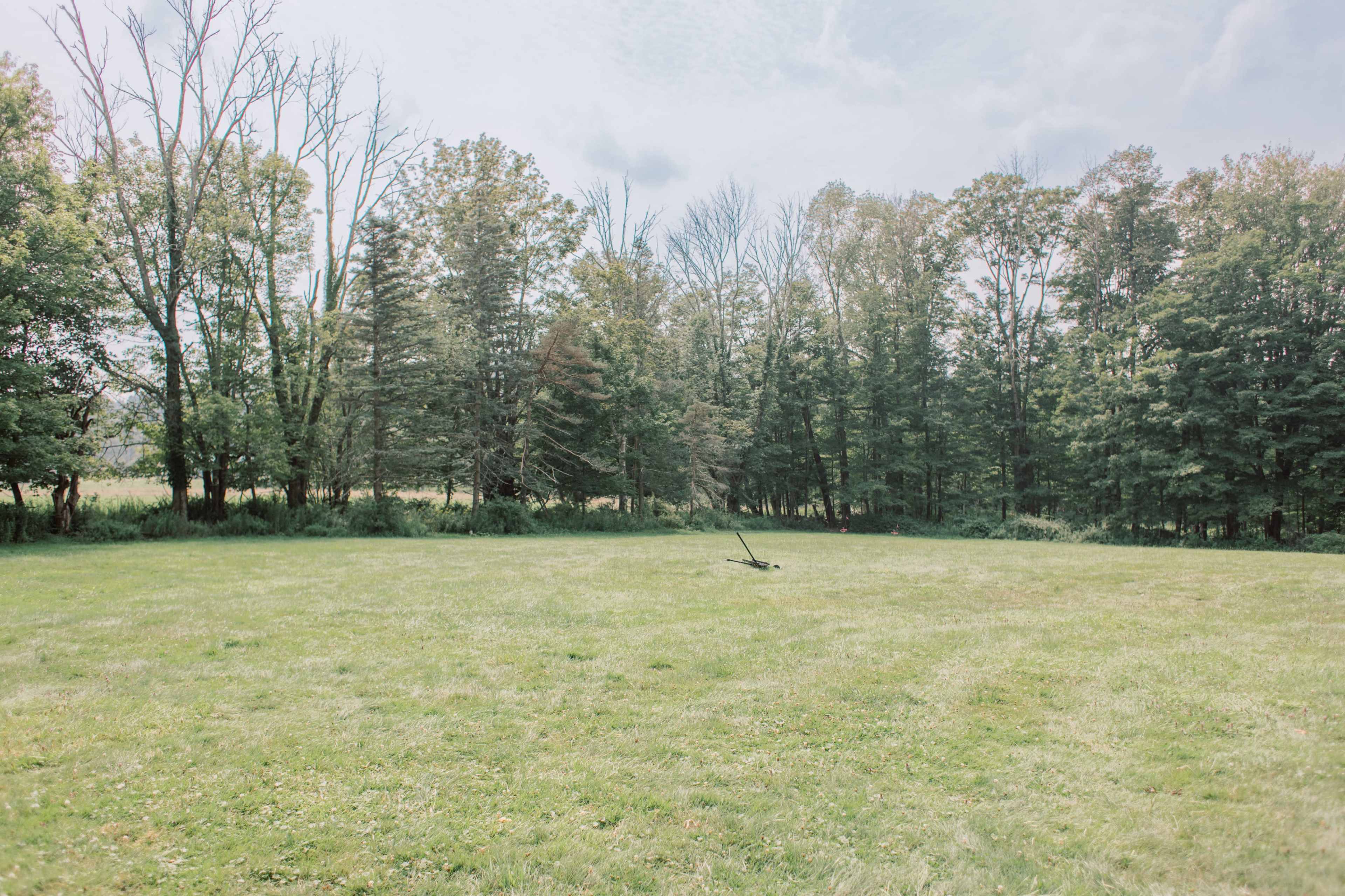 A wide grassy clearing is bordered by a line of trees in the background.