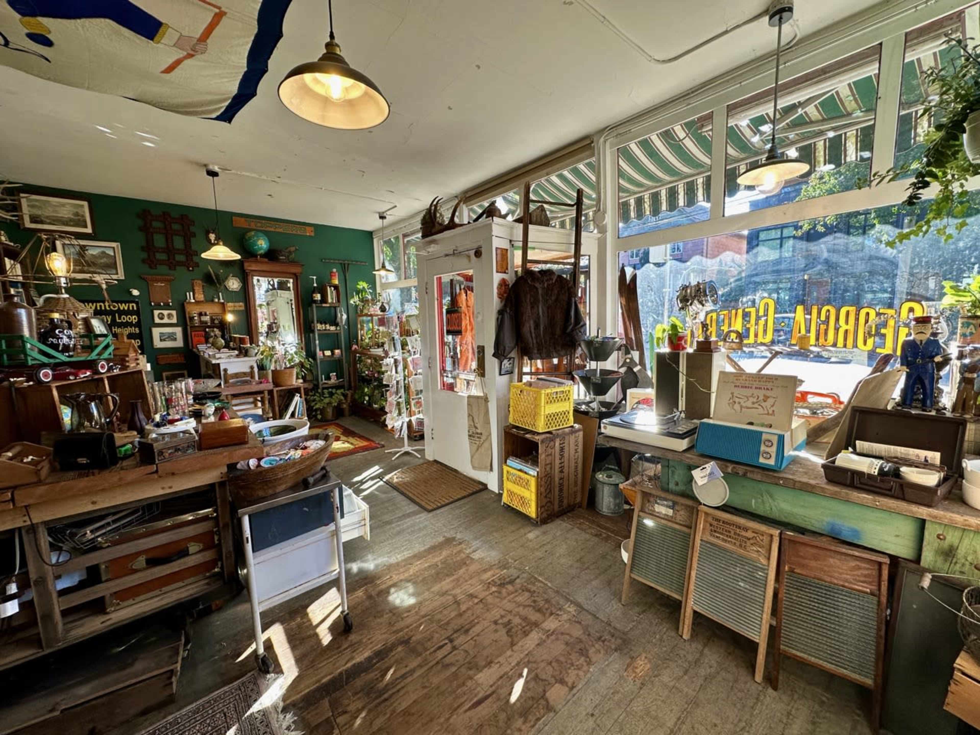 Vintage plant paradise in heritage shop that feels like home Image in Grandview-Woodland, Vancouver, BC
