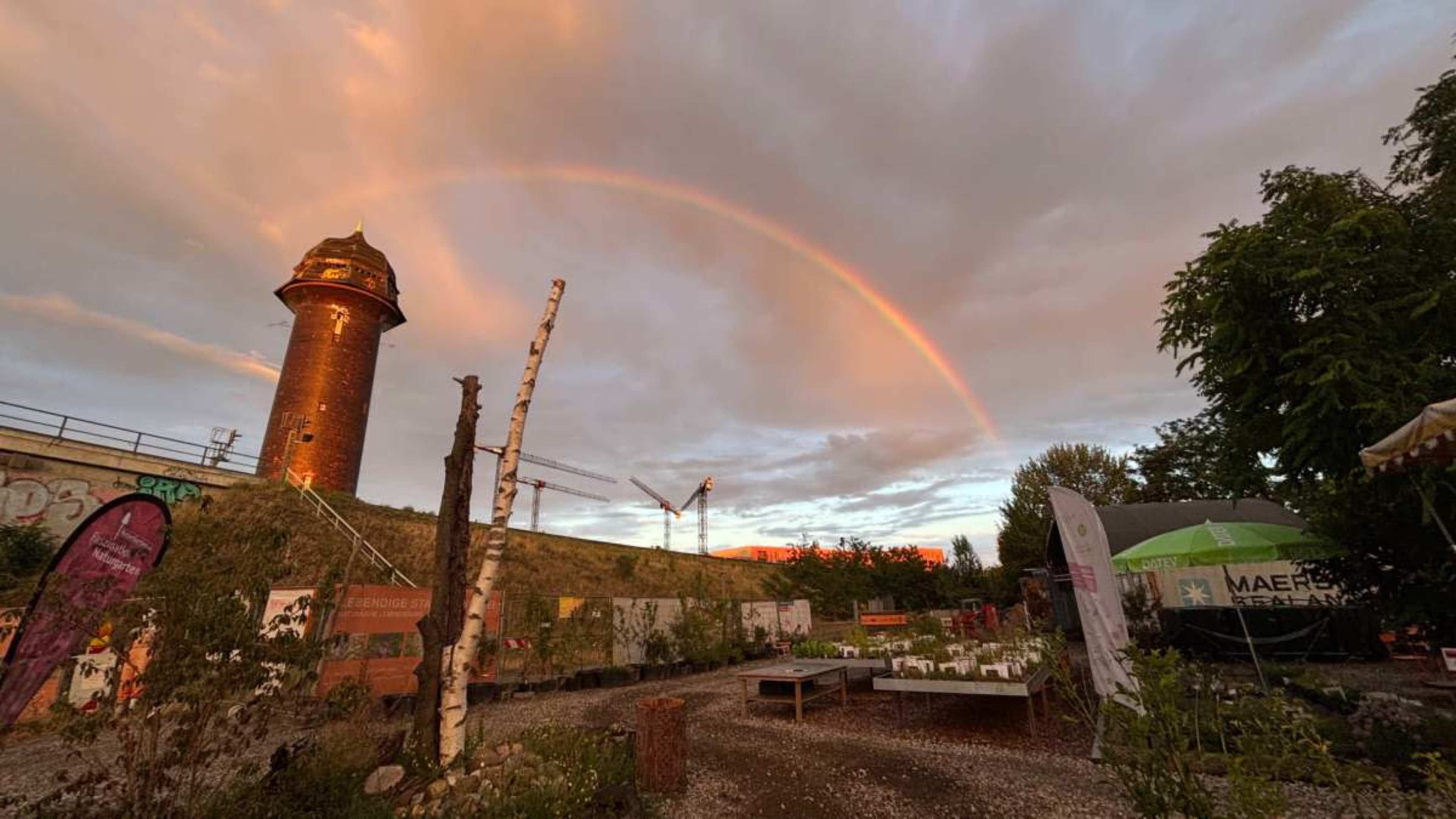 A rainbow arches over a garden area with a tower and construction cranes in the background during sunset.