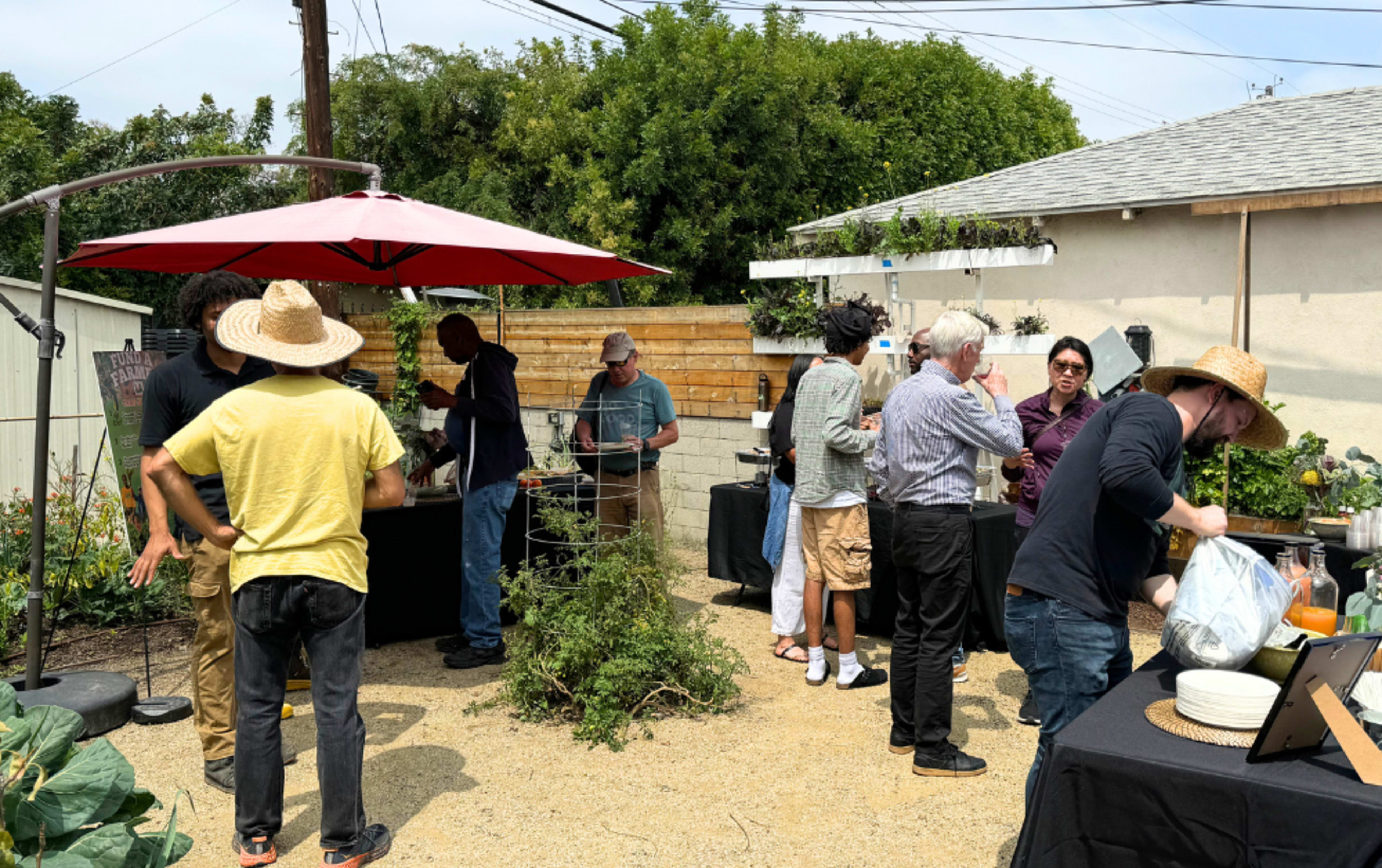 Hidden Backyard Garden Oasis in Leimert Park with Waterfall Image in Jefferson Park, Los Angeles, CA