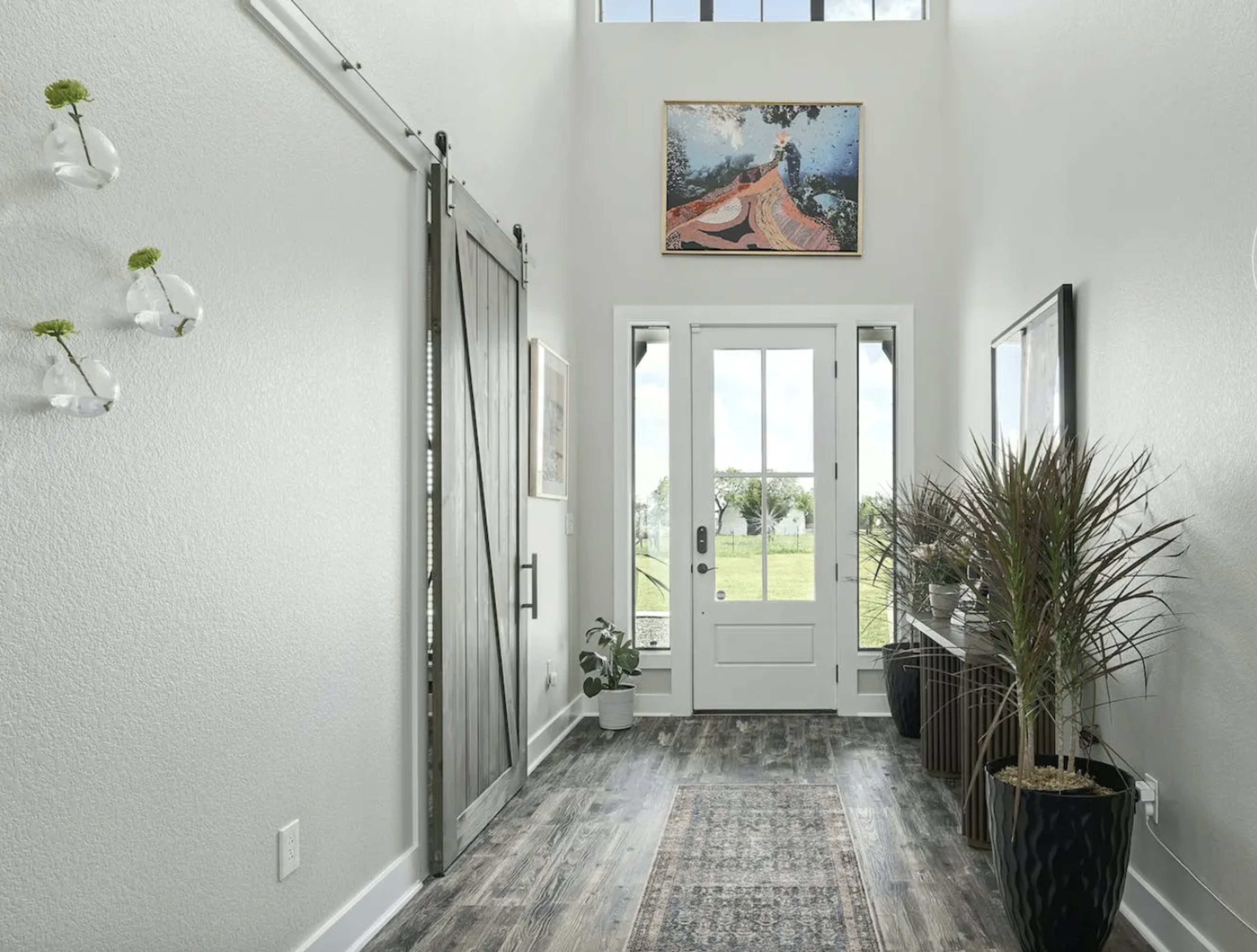 A bright hallway featuring a sliding barn door, plants, framed artwork, and access to an exterior view.