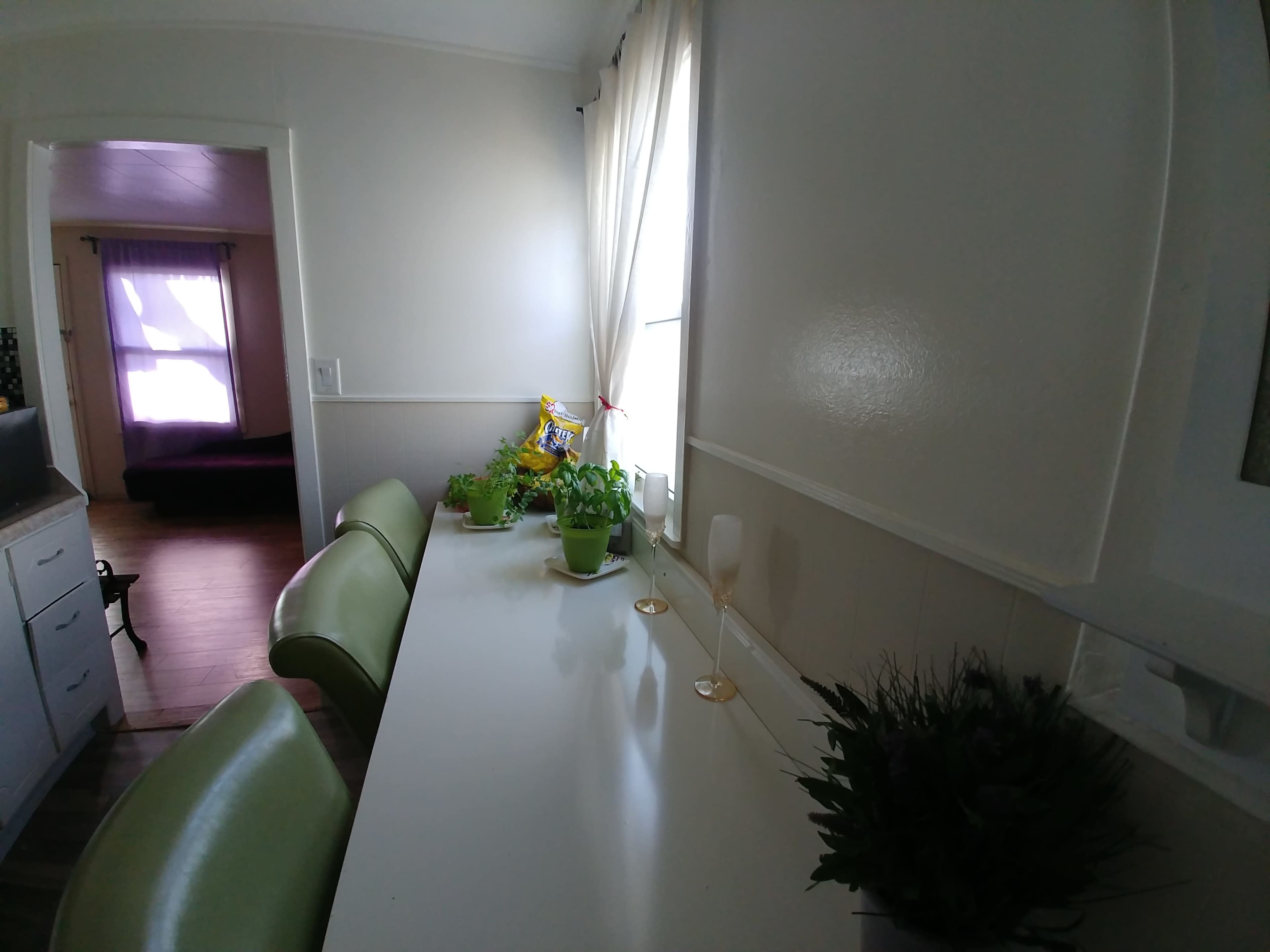 A clean, well-lit kitchen features a long white table with green chairs, adorned with potted plants and two champagne flutes near a window.