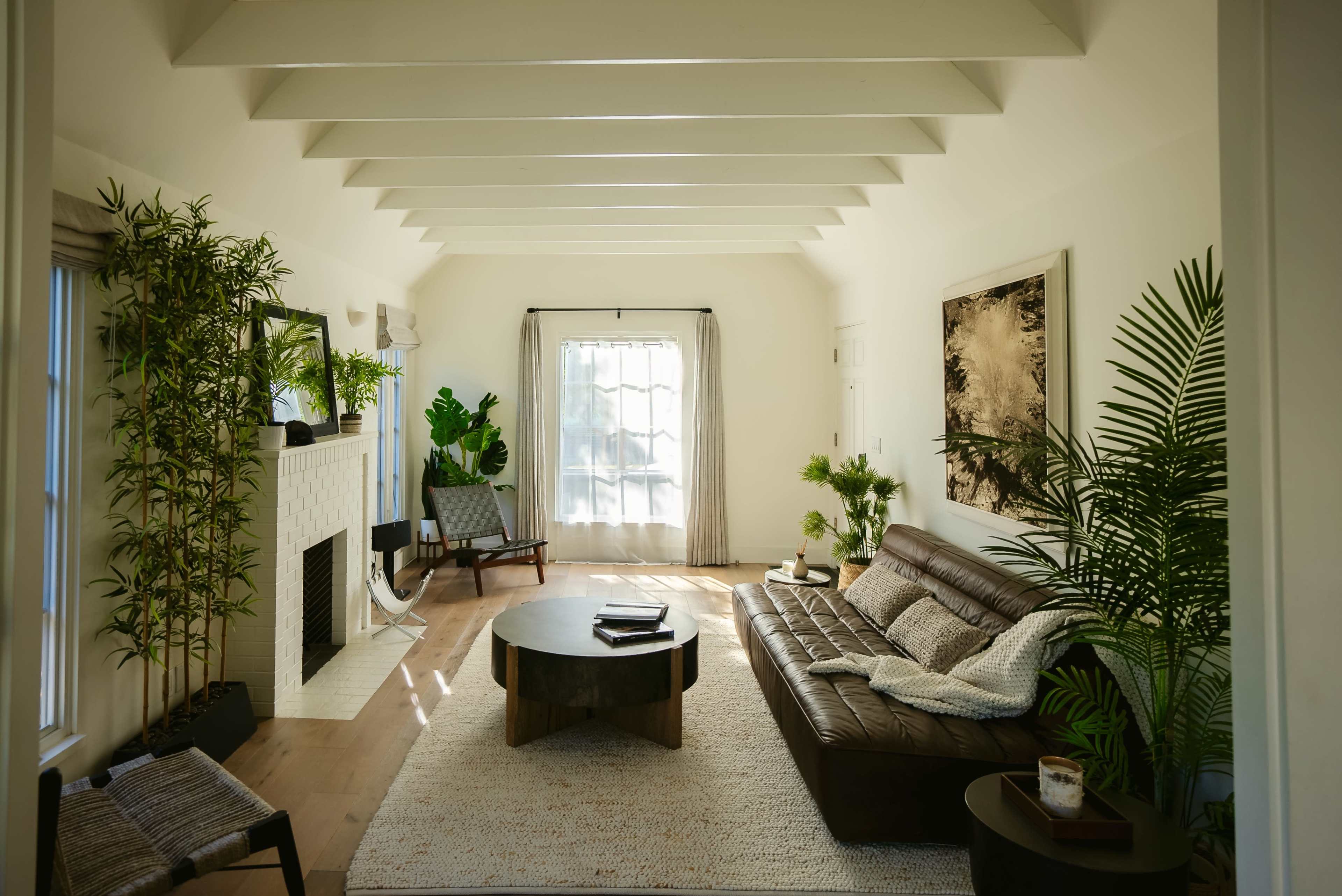 A cozy living room features a brown leather sofa, a round coffee table, large windows with sheer curtains, and various indoor plants.