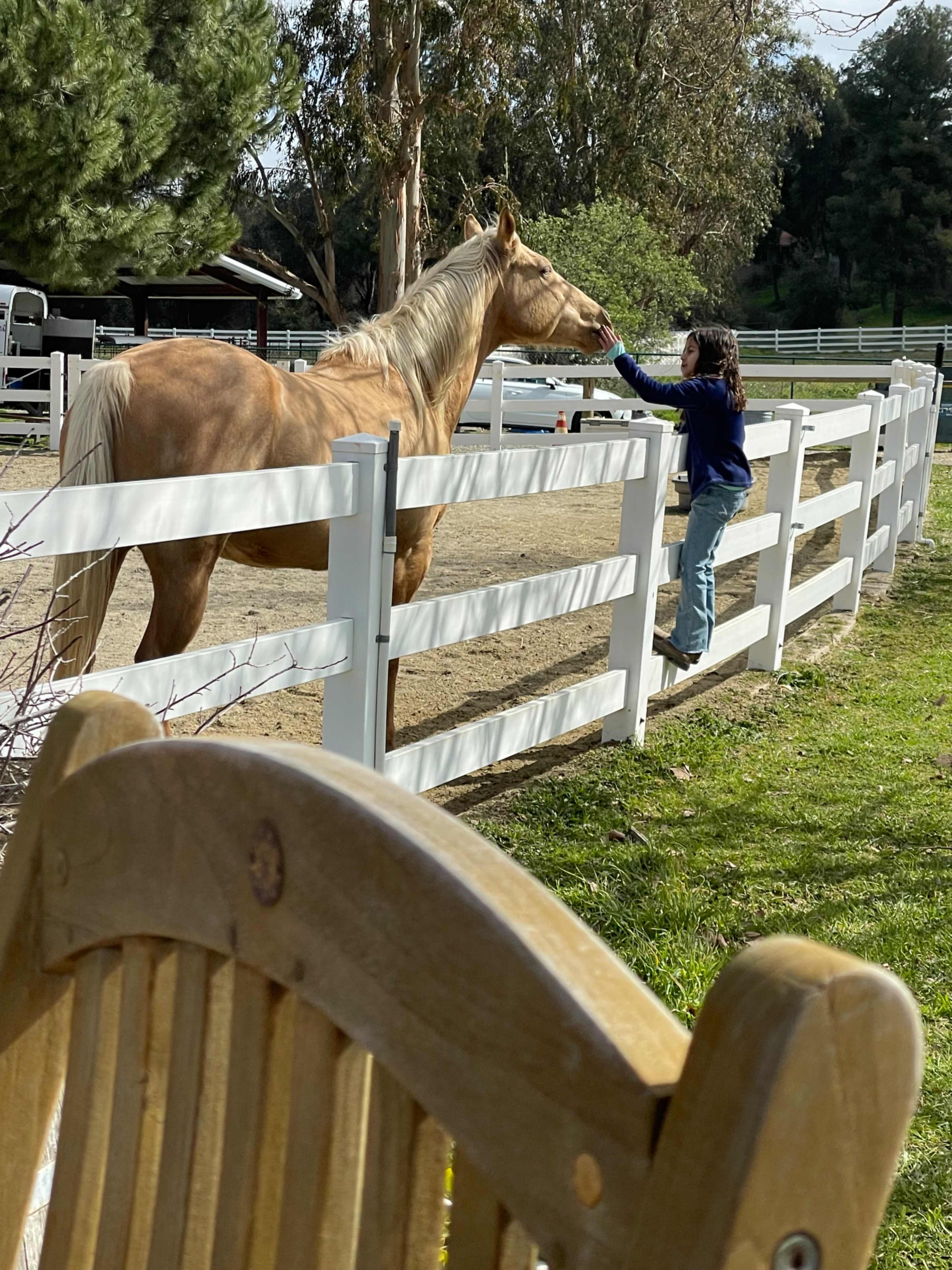 A child reaches out to a light-colored horse over a white fence in a grassy area near a stable.