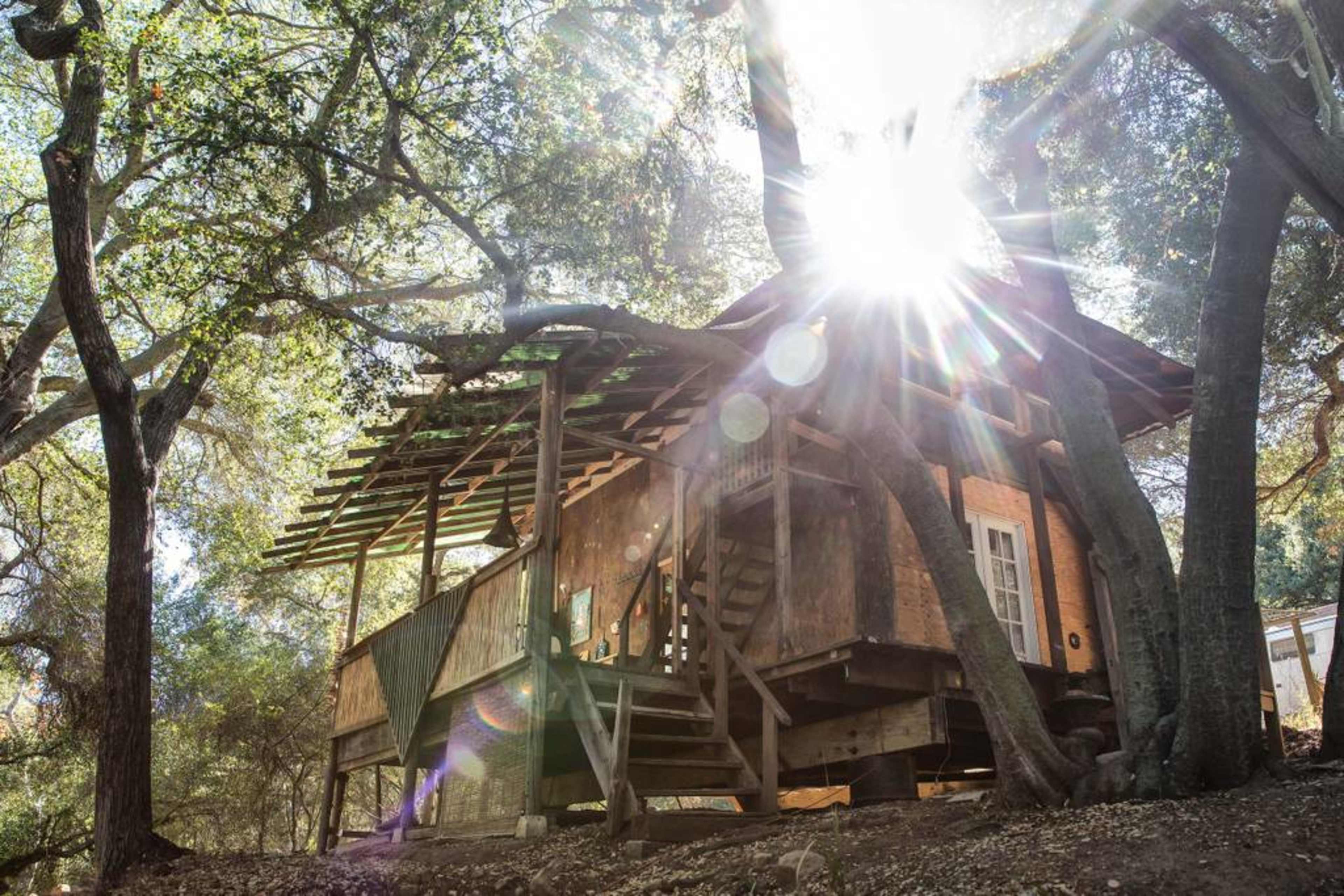 A wooden cabin is nestled among trees, with sunlight streaming through the branches.
