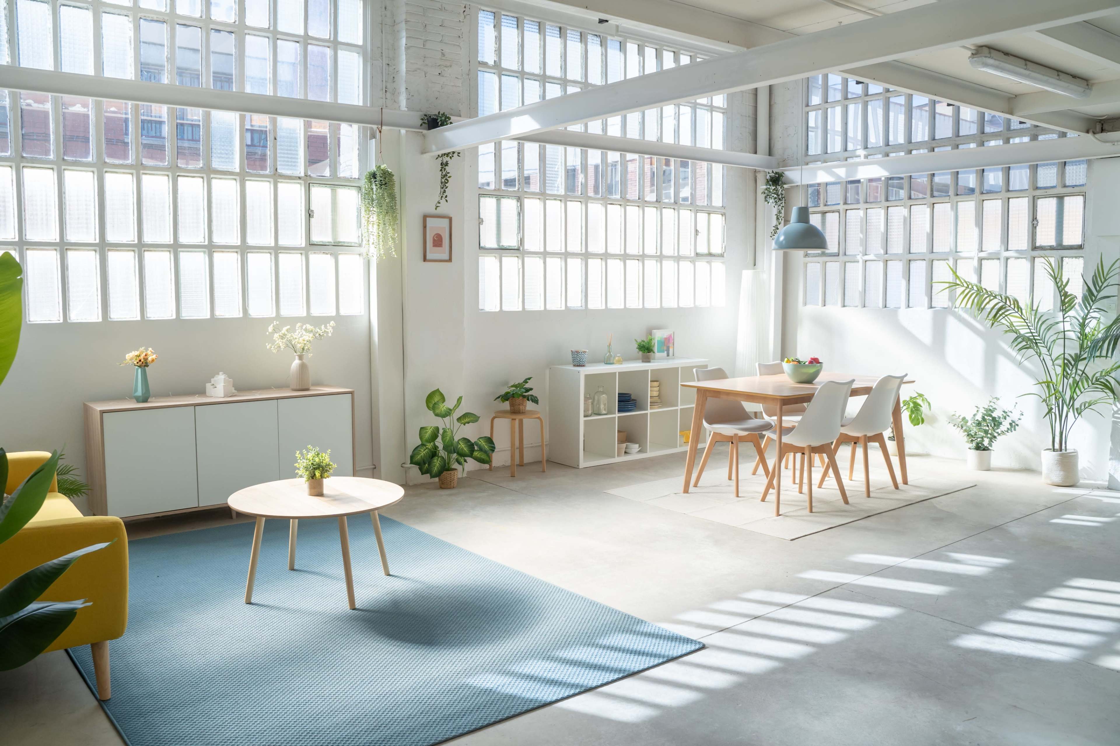 Estudio de fotografía y vídeo estilo loft industrial Imagen en Can Feu, Sabadell, B