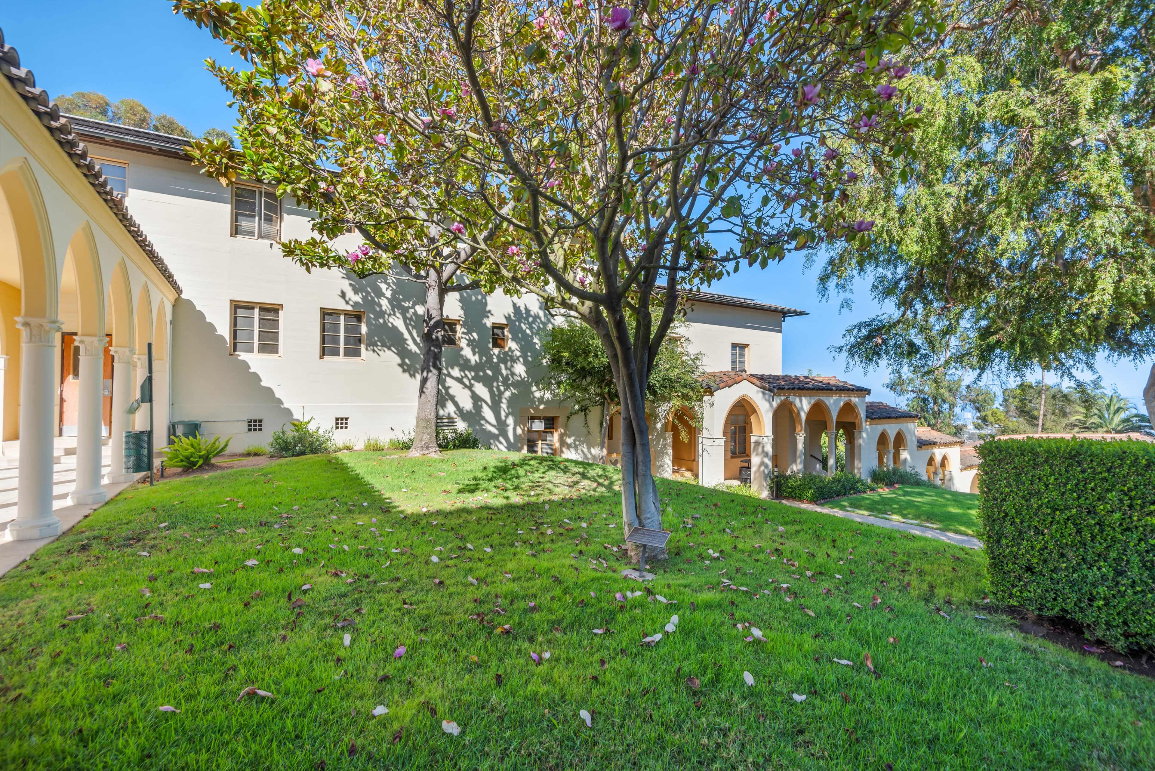 The image depicts a landscaped area featuring a grassy slope, a tree with leafy branches, and a building with archways and windows in the background.