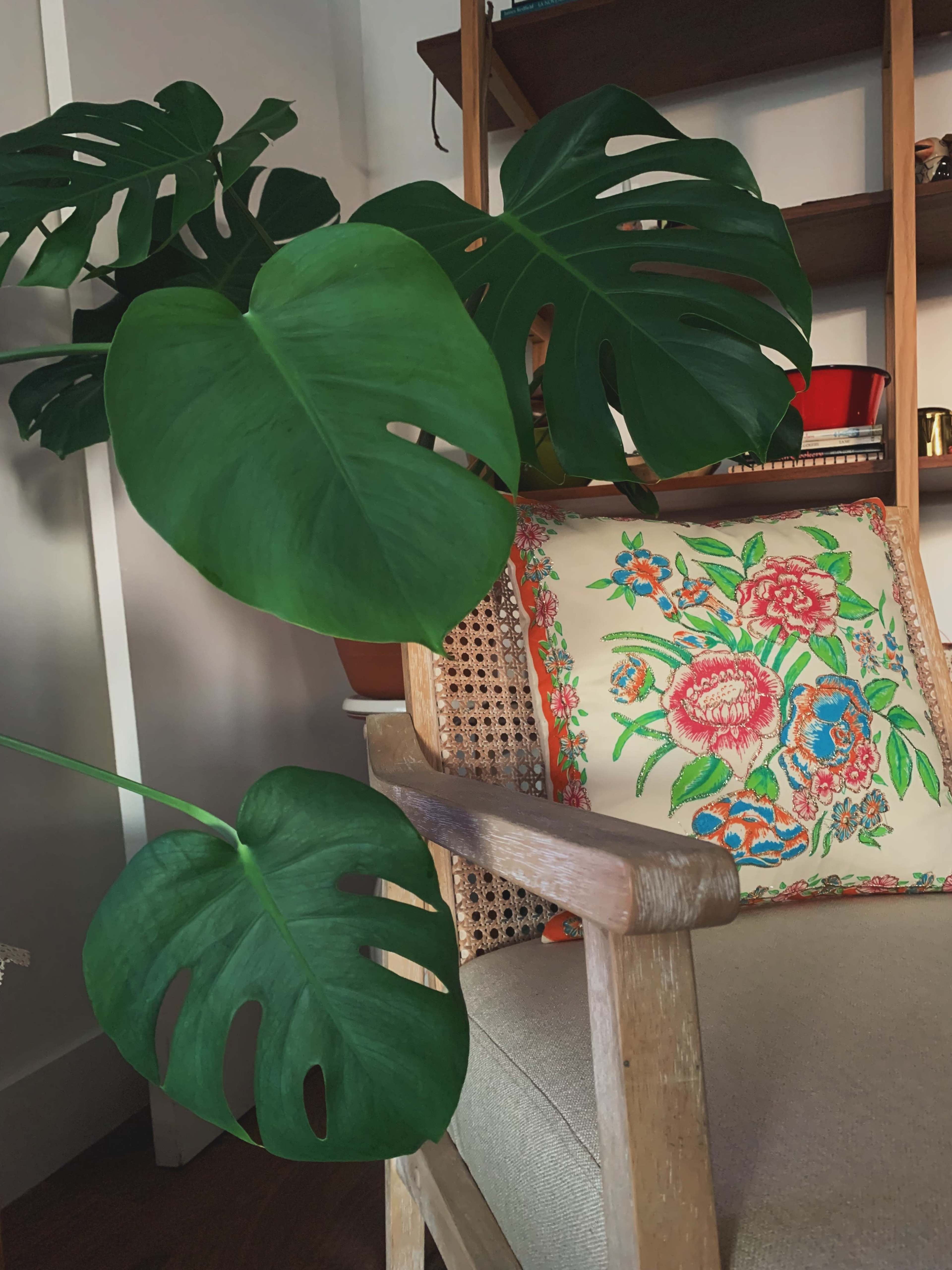 A wooden chair with a floral embroidered pillow is positioned next to a large monstera plant in a well-decorated interior space.