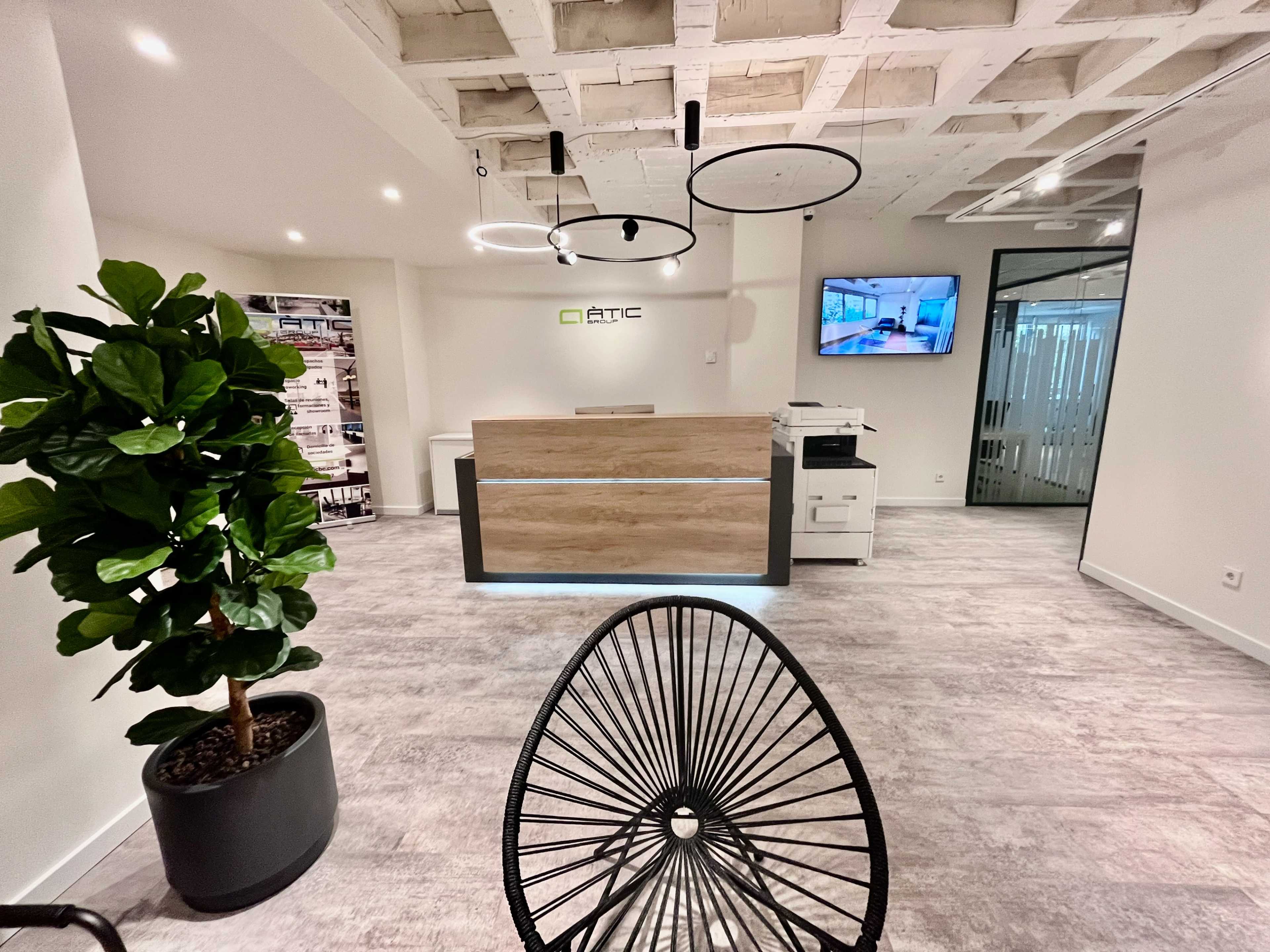 The image shows a modern office reception area with a wooden front desk, several circular light fixtures, and a large plant in a pot.