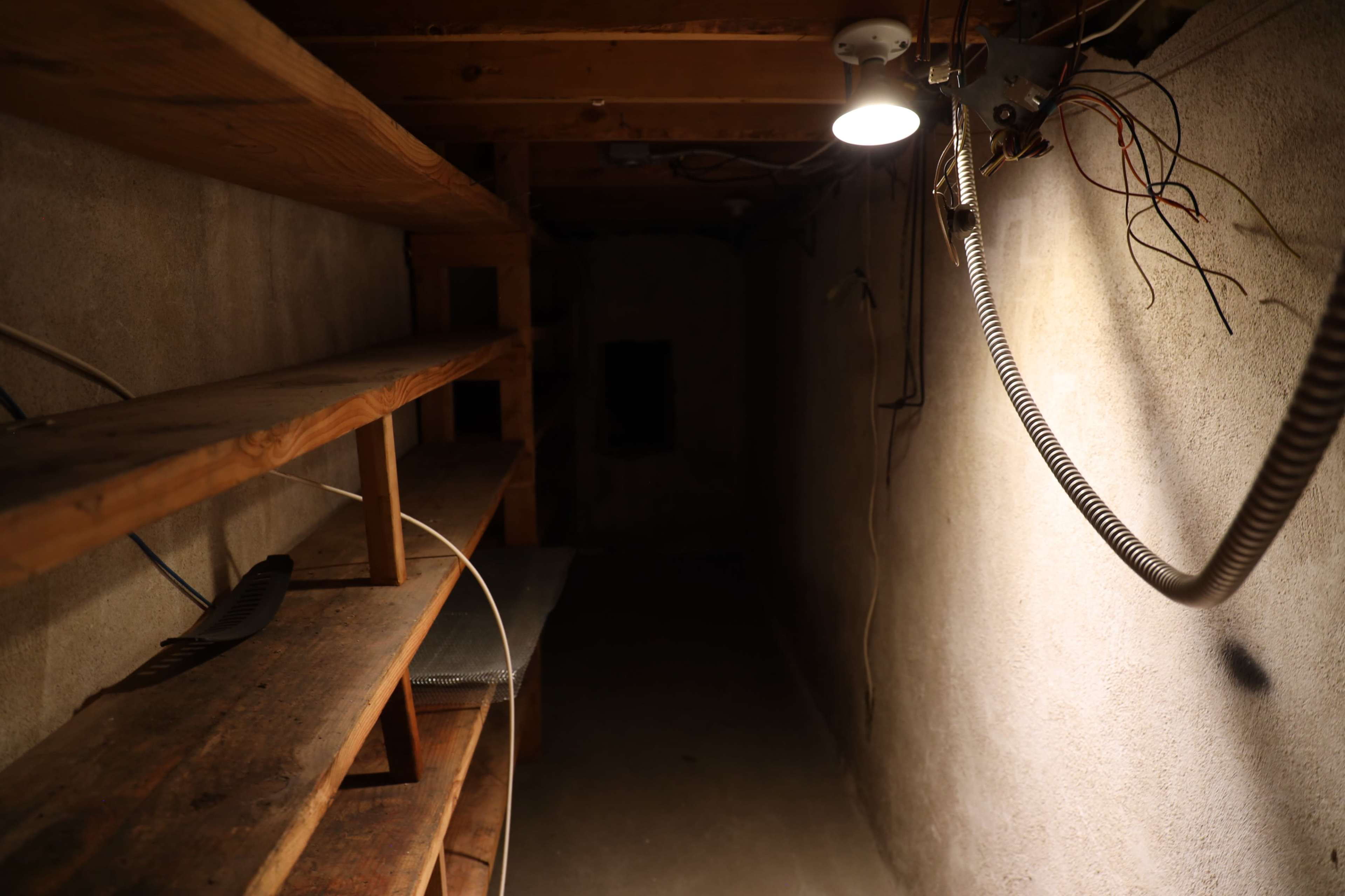 The image shows a dimly lit basement space with concrete walls, wooden shelves on one side, and exposed electrical wires.