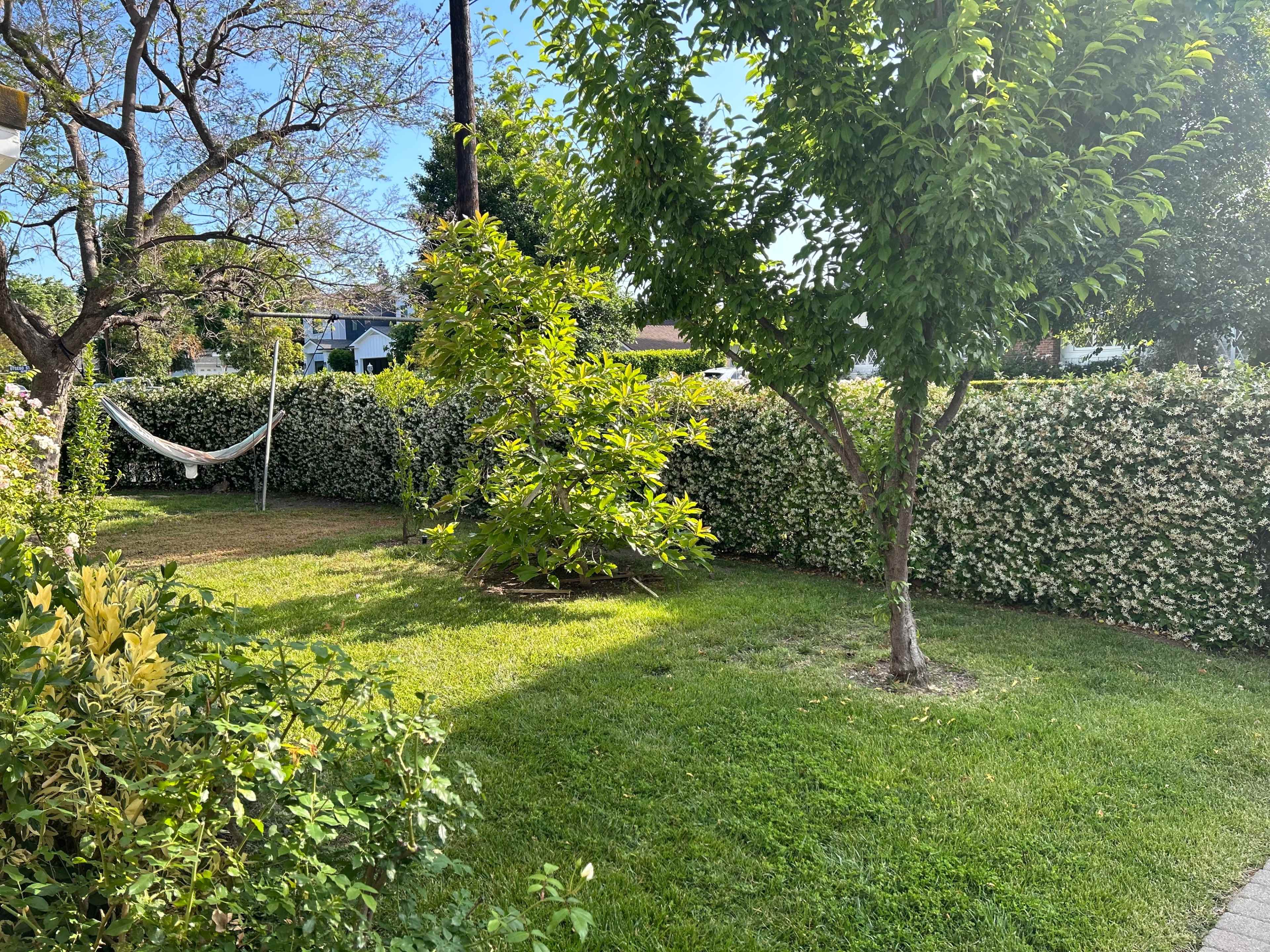 A green garden features a hammock suspended between trees, surrounded by tall hedges and well-maintained grass.