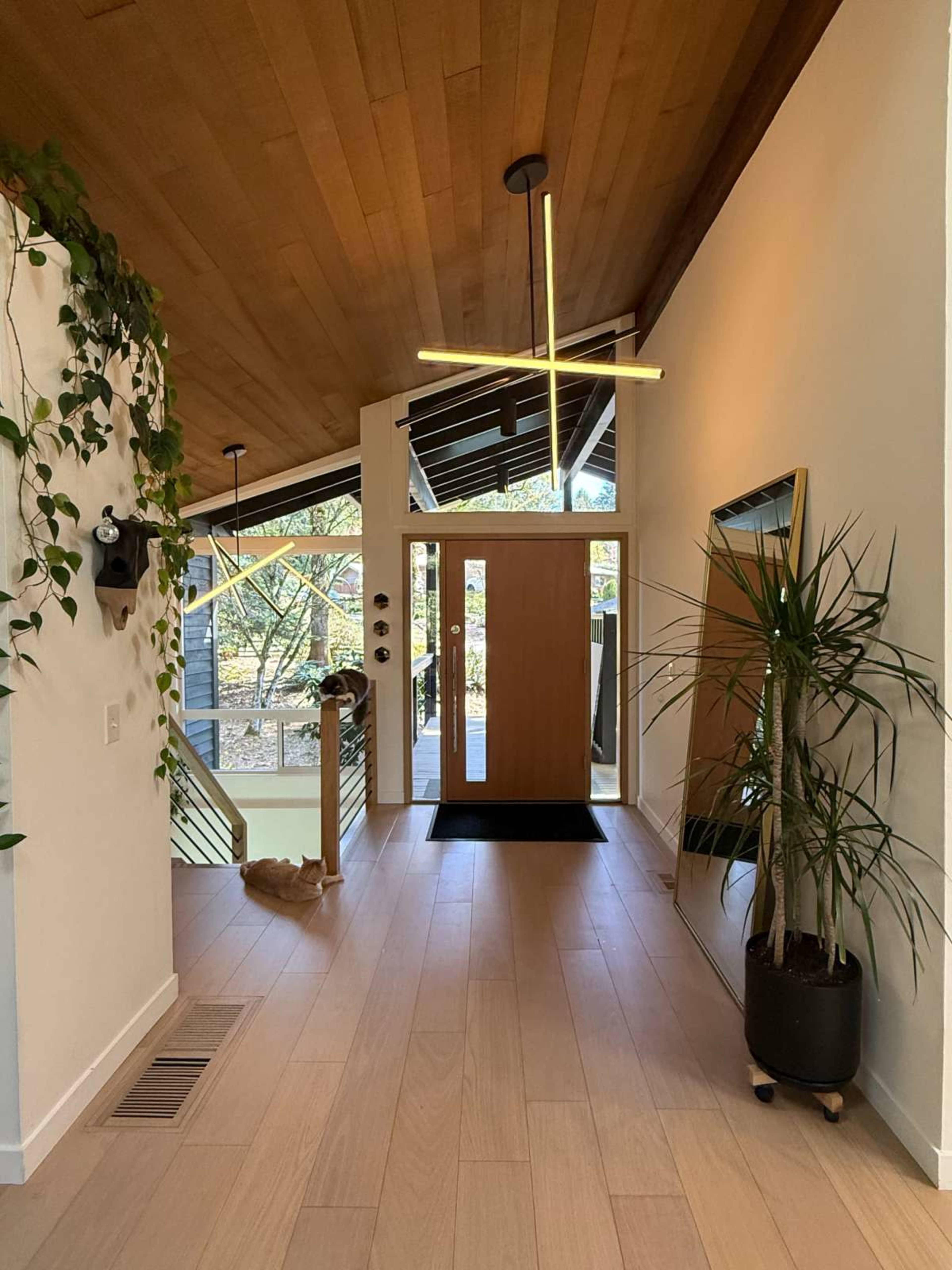 Private and Peaceful Mid-Century Modern Treehouse in SW Portland Image in Southwest Portland, Portland, OR