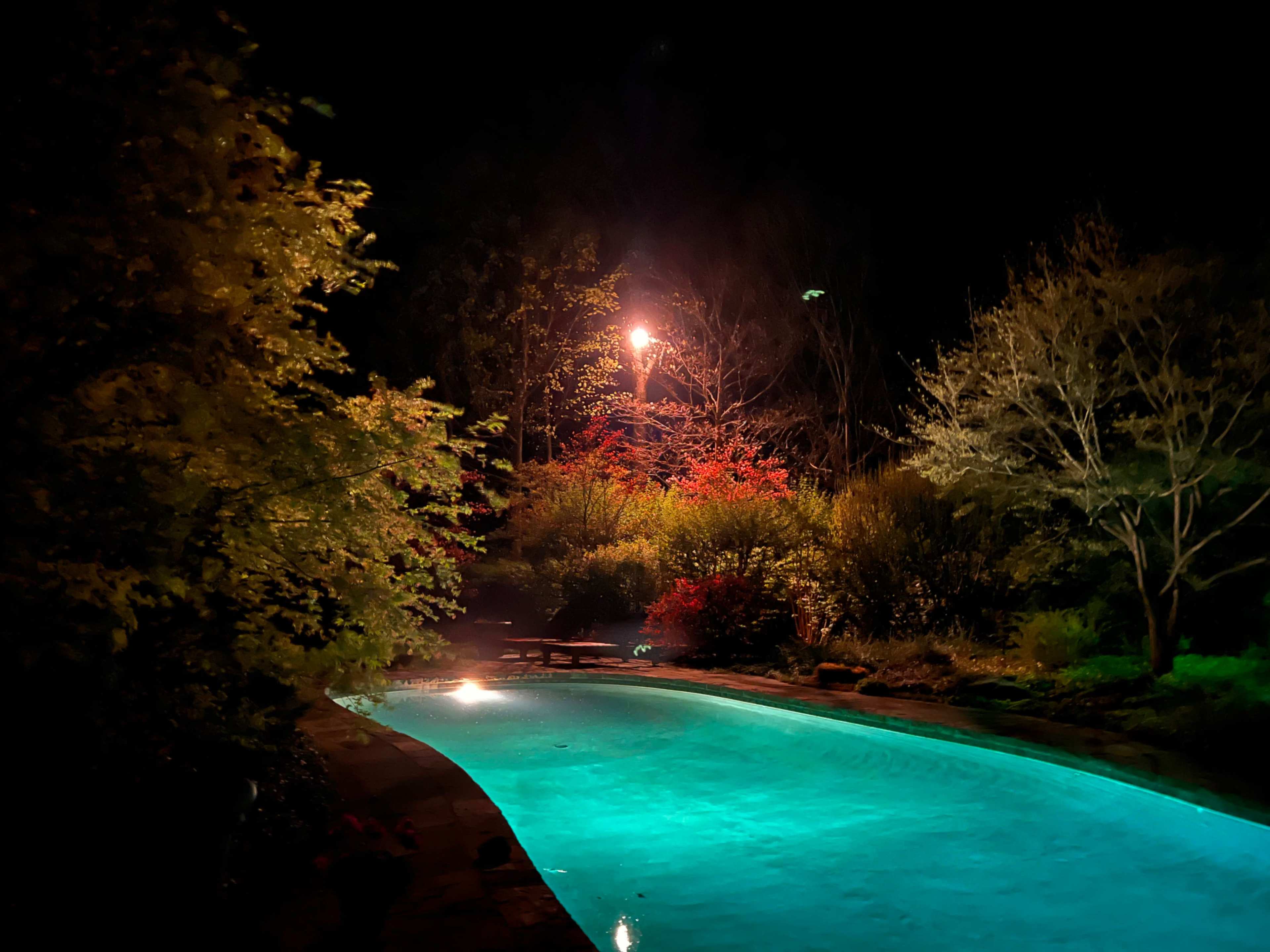 The image shows a tranquil swimming pool illuminated by soft lighting, surrounded by leafy trees and vibrant foliage at night.