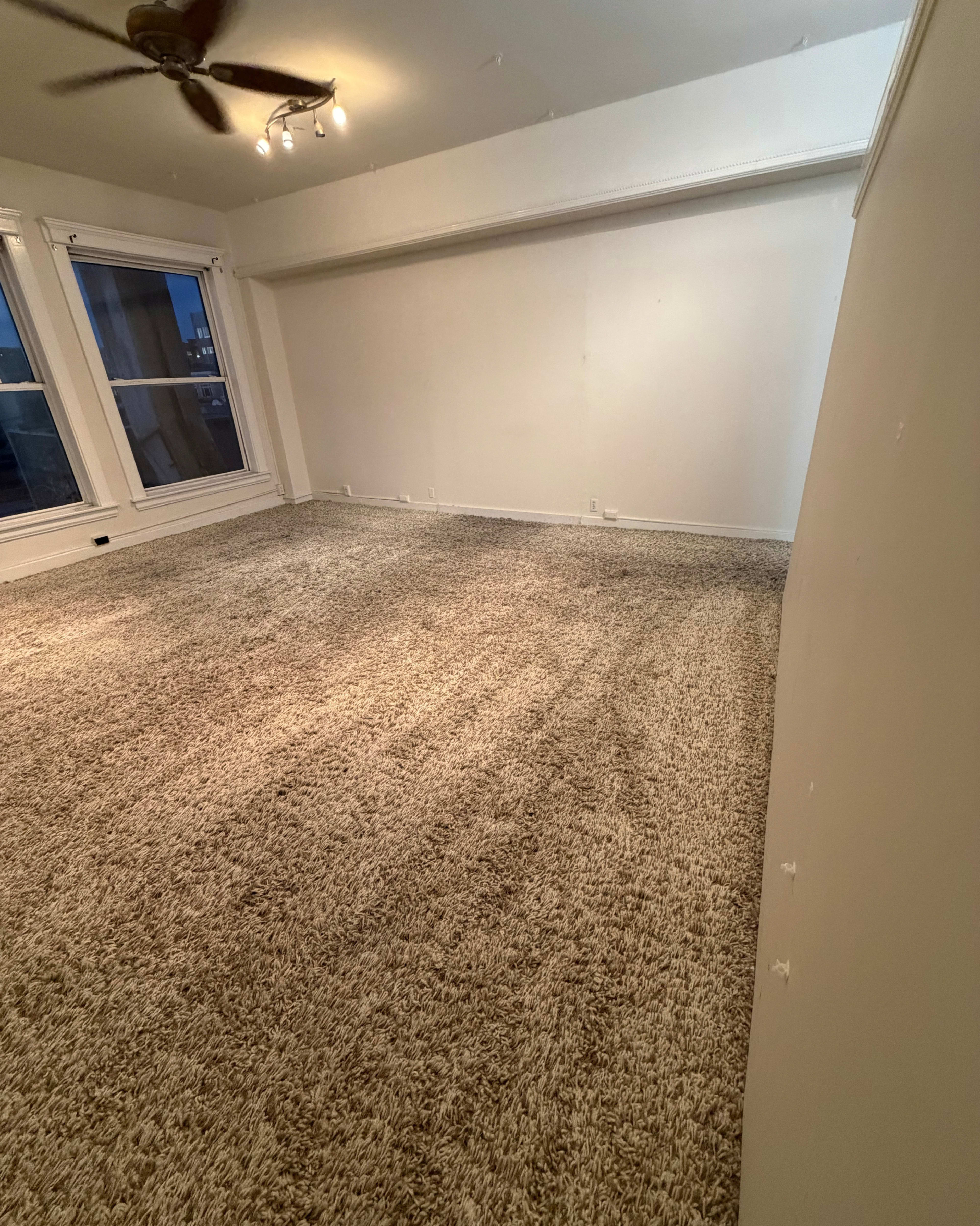 The image shows a spacious, carpeted room with two large windows and plain walls.
