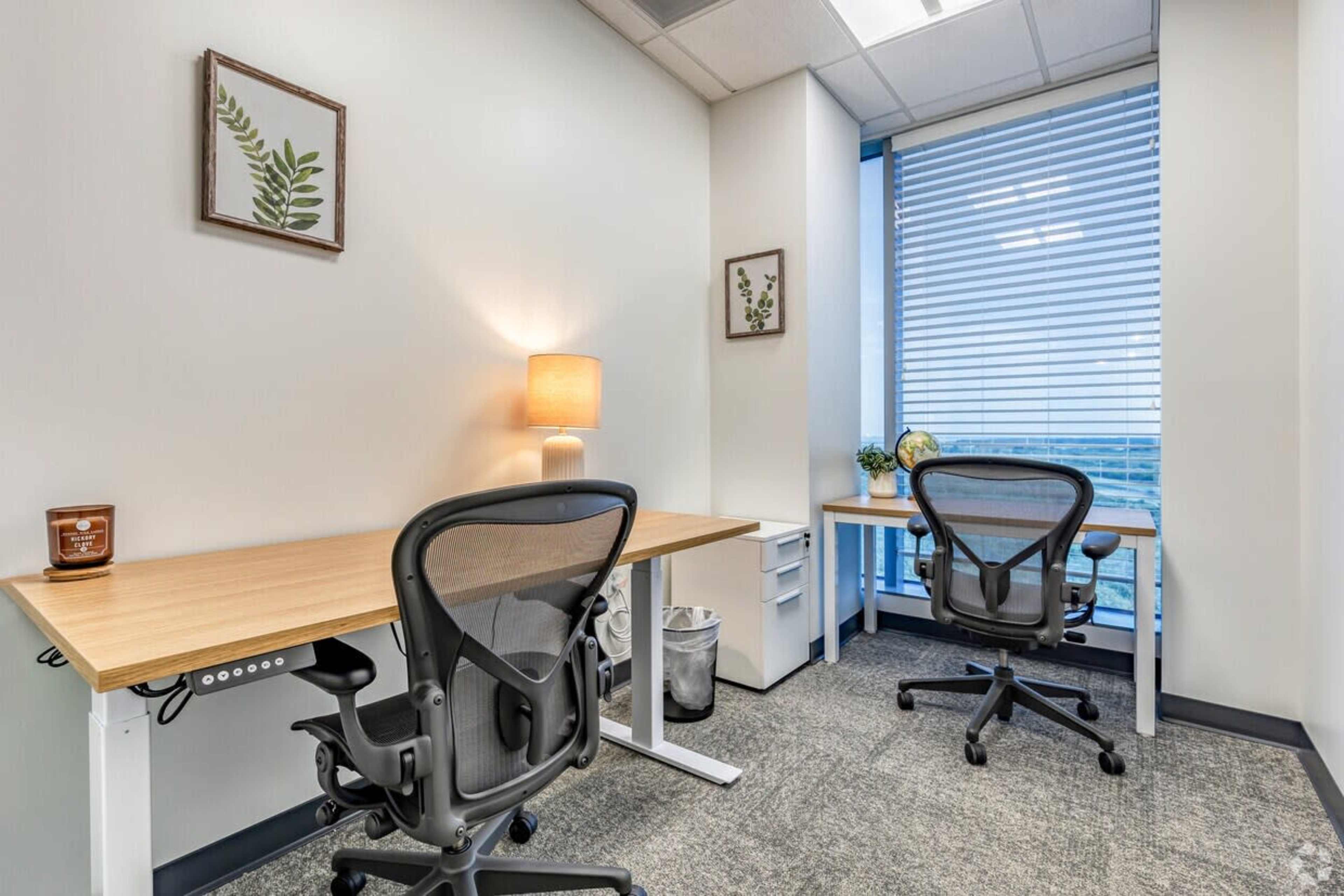The image shows a small office space with two desks and ergonomic chairs, featuring a lamp and decorative plants on the walls.