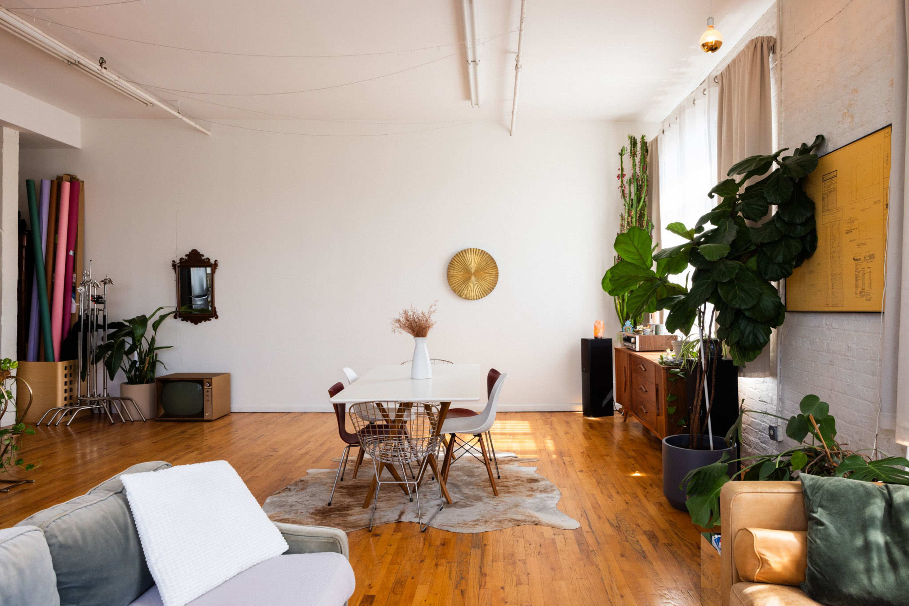 The image shows a spacious, well-lit room with wooden floors, featuring a dining table surrounded by chairs, a large plant, and various decorative elements against white walls.