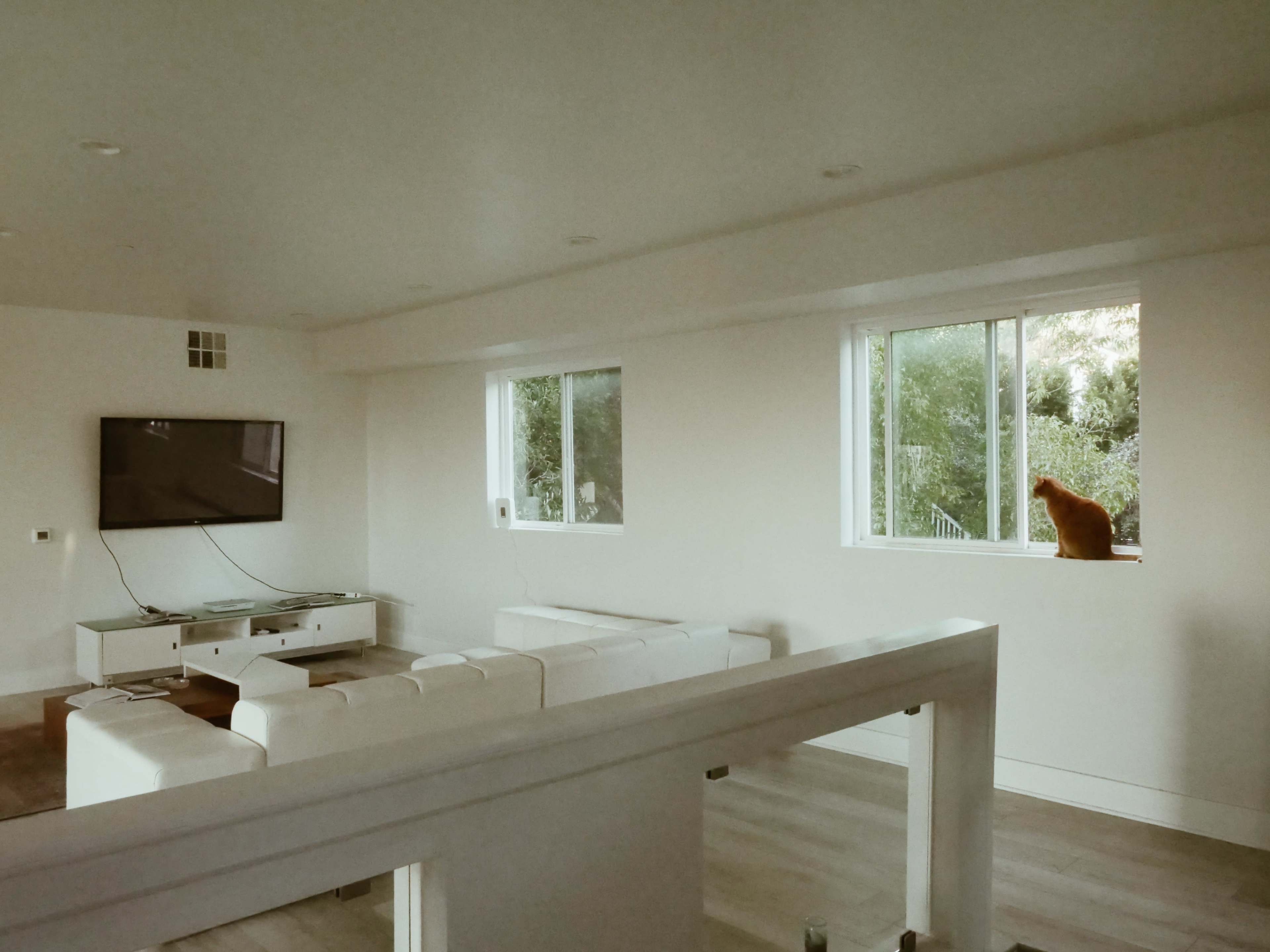 A spacious, minimalist living room features a white sofa, a wall-mounted television, and a cat sitting on a windowsill.